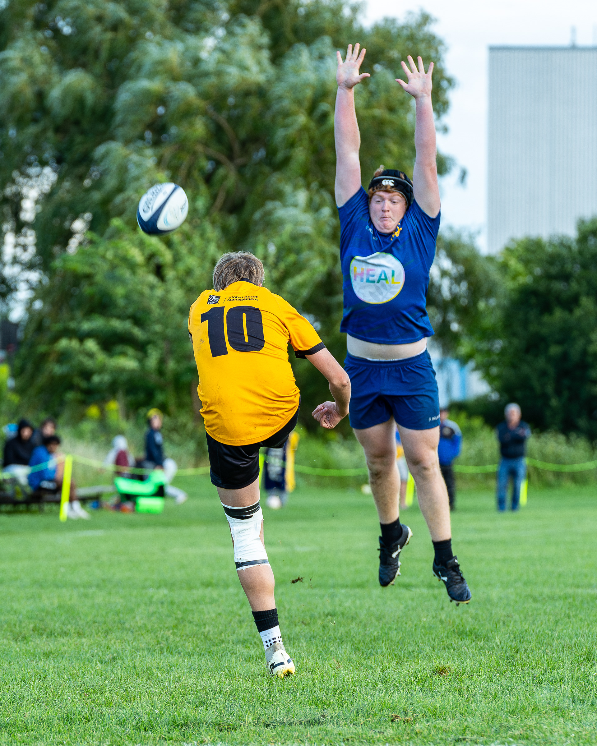 Balmy Beach Rugby