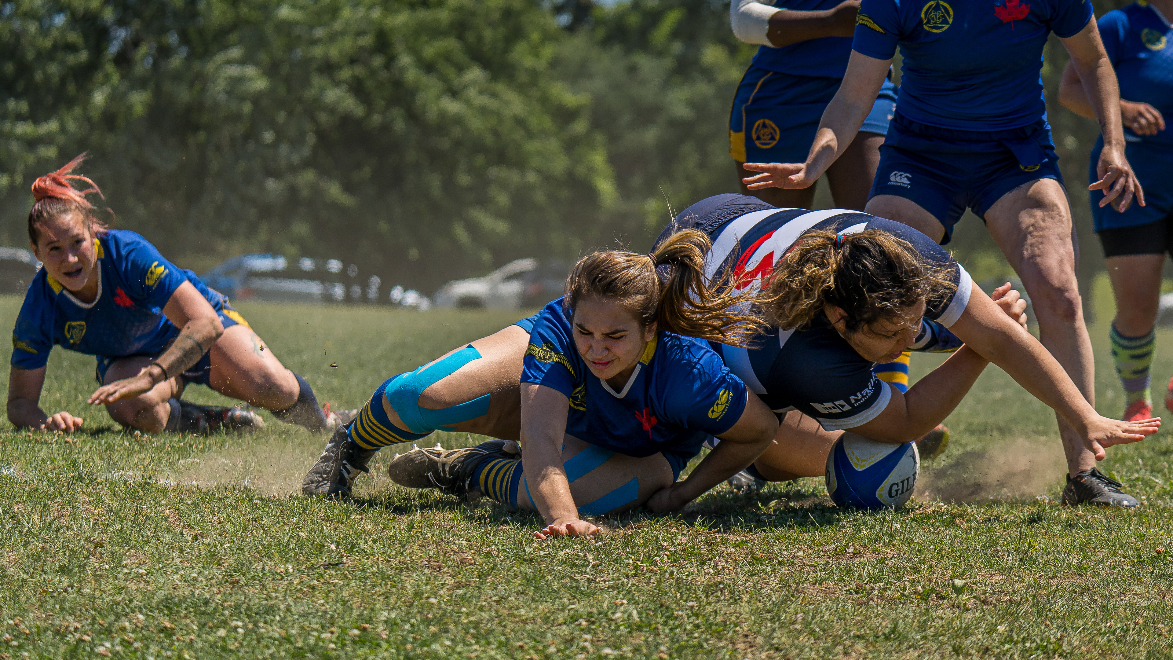 balmy beach rugby club