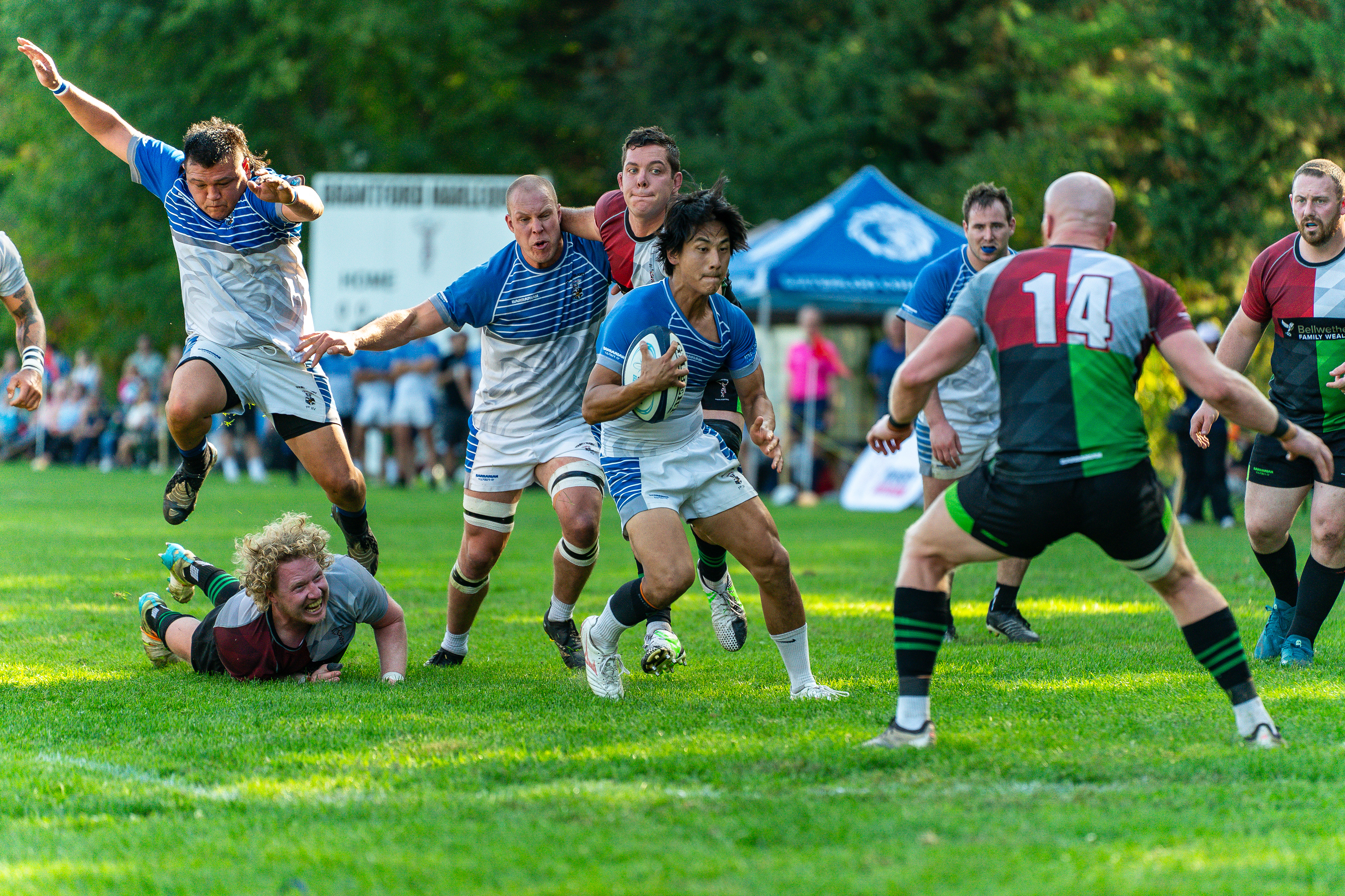 Waterloo county rugby club