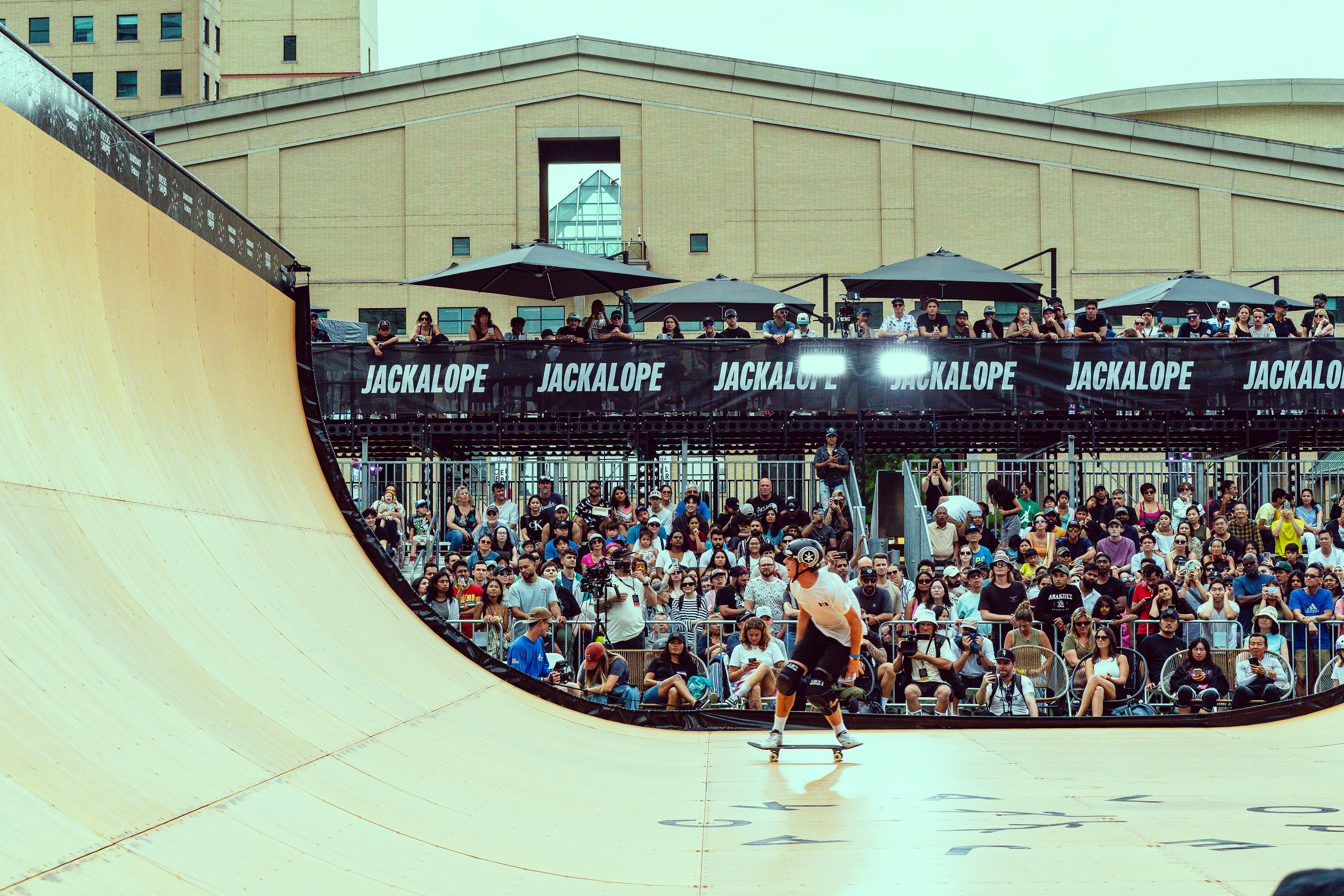 Jackalope mississauga 2024