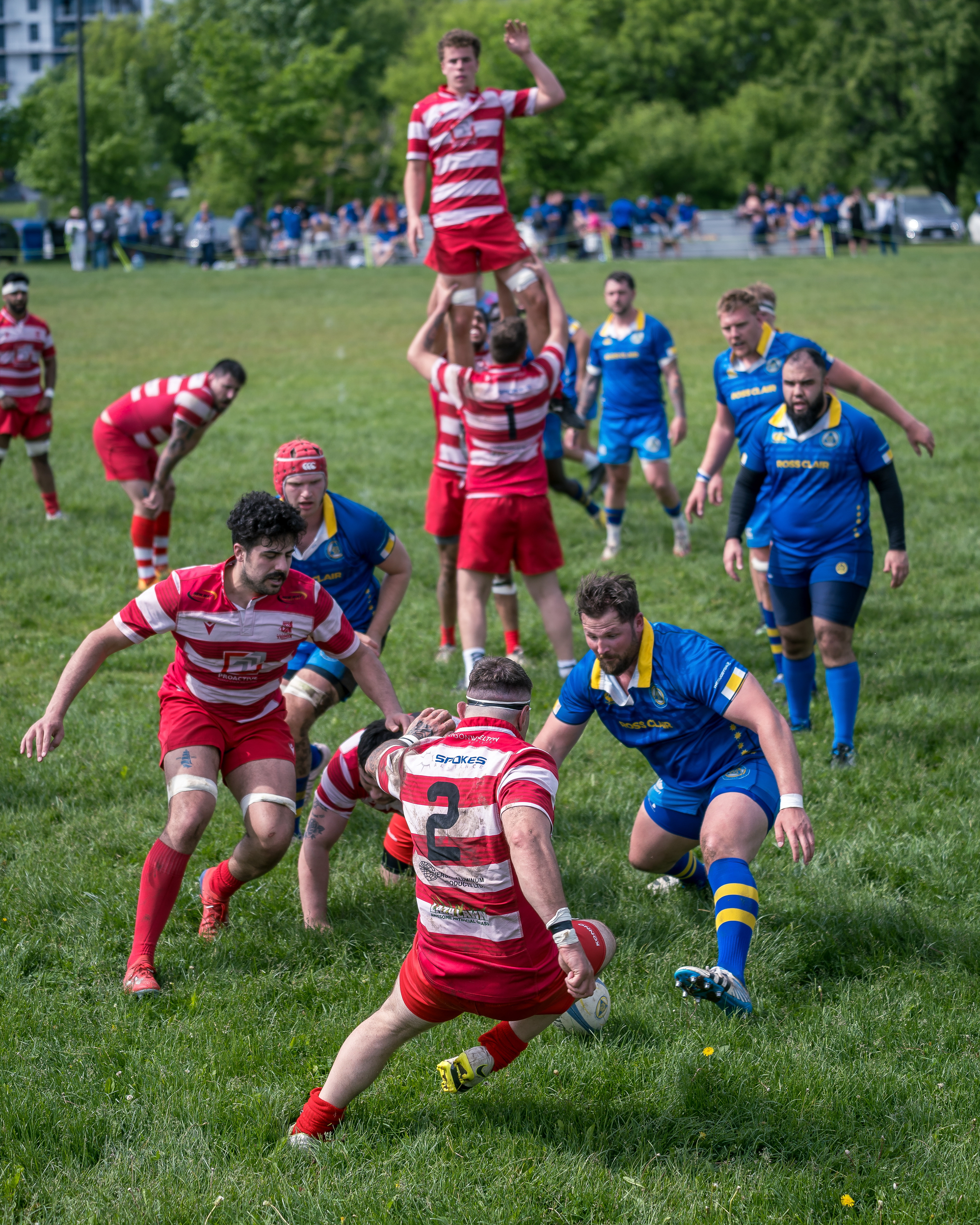Silver medal at the Rugby photographer of the year 2024