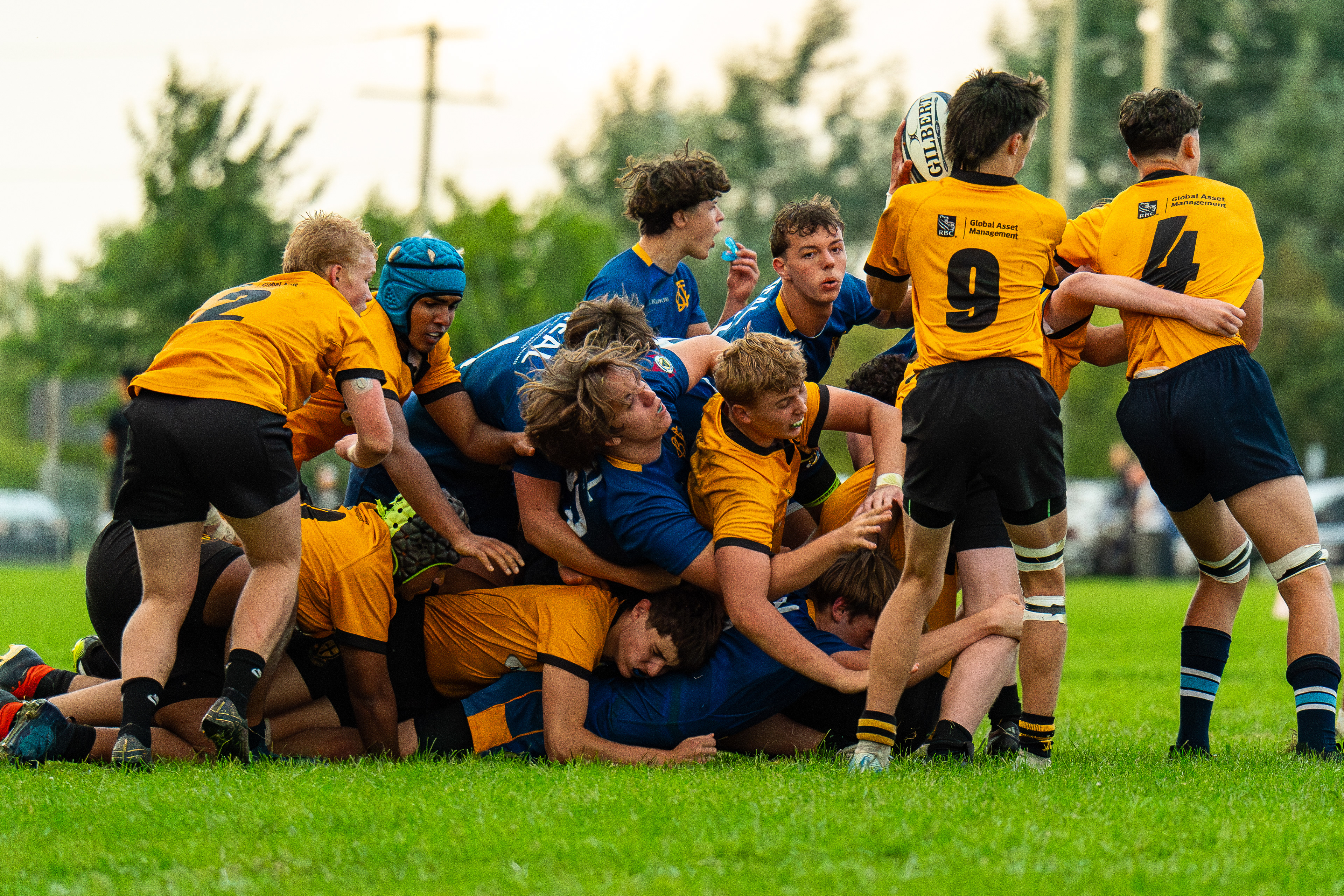 Oakville crusaders
