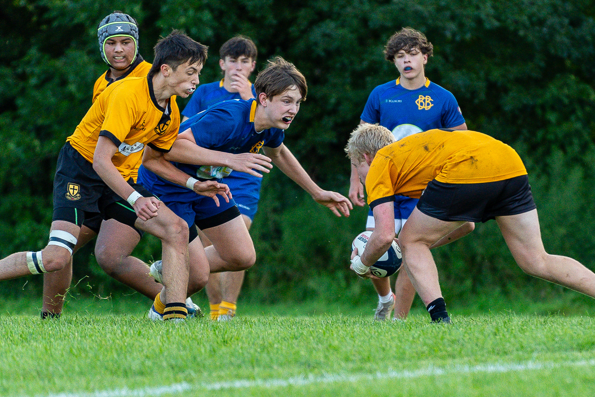 Oakville crusaders