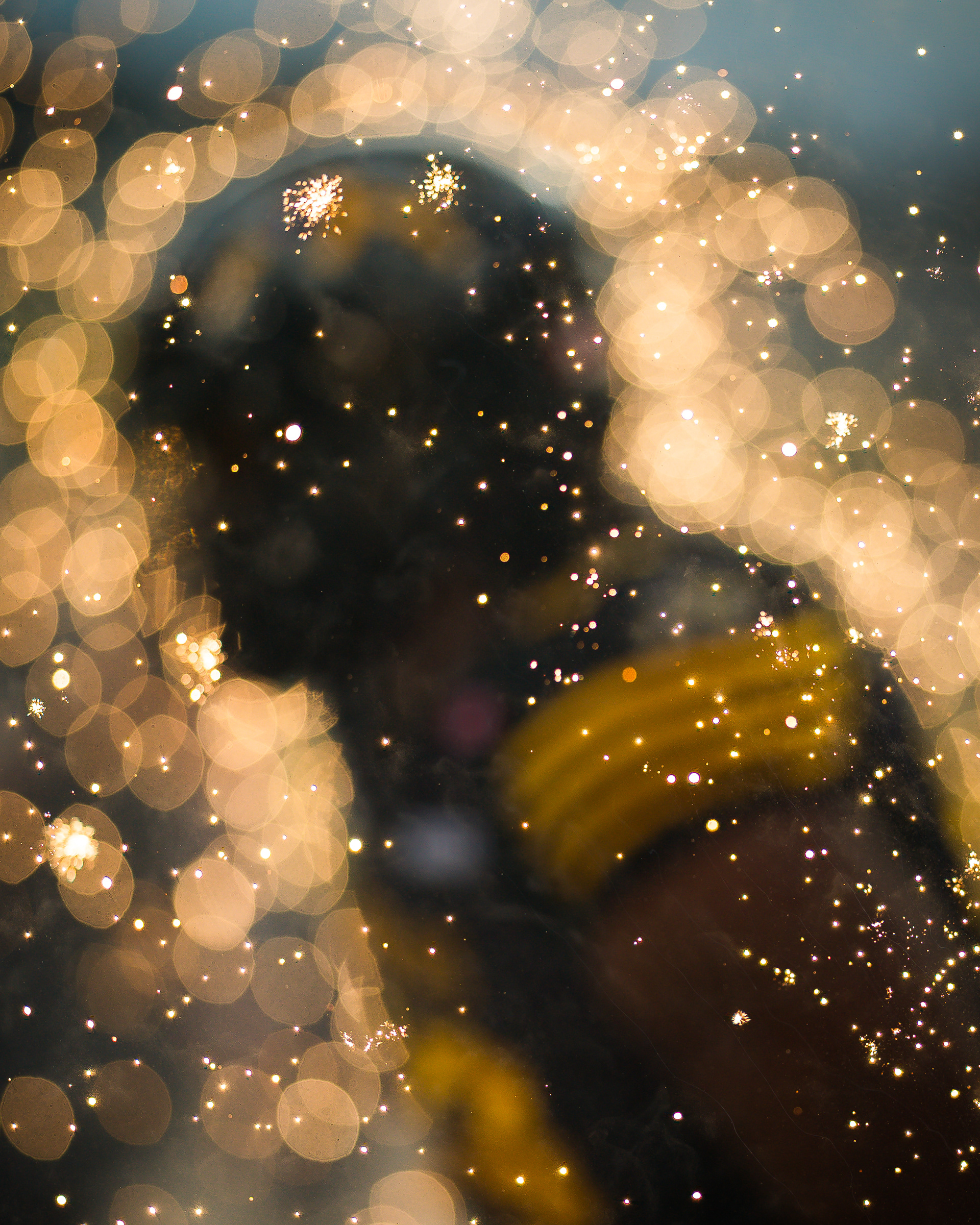 football photographer Toronto