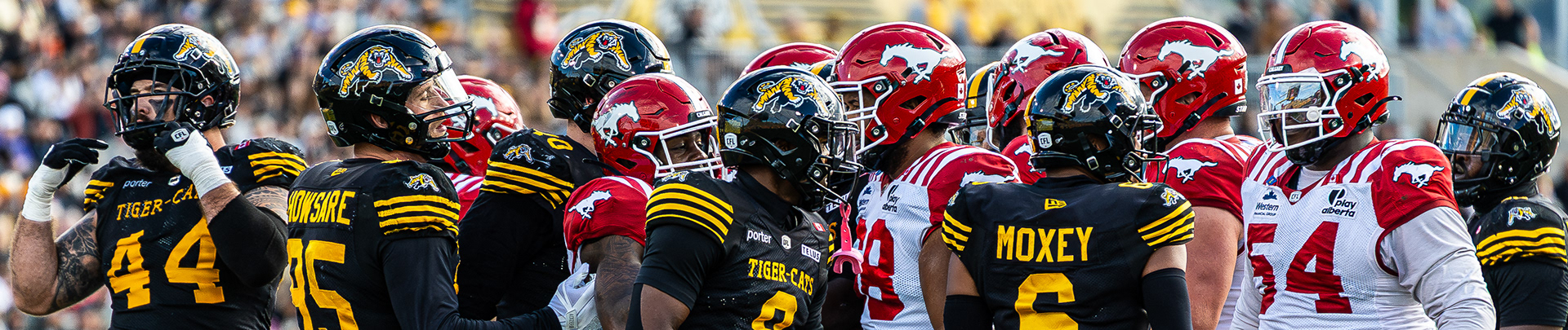 football photographer Toronto