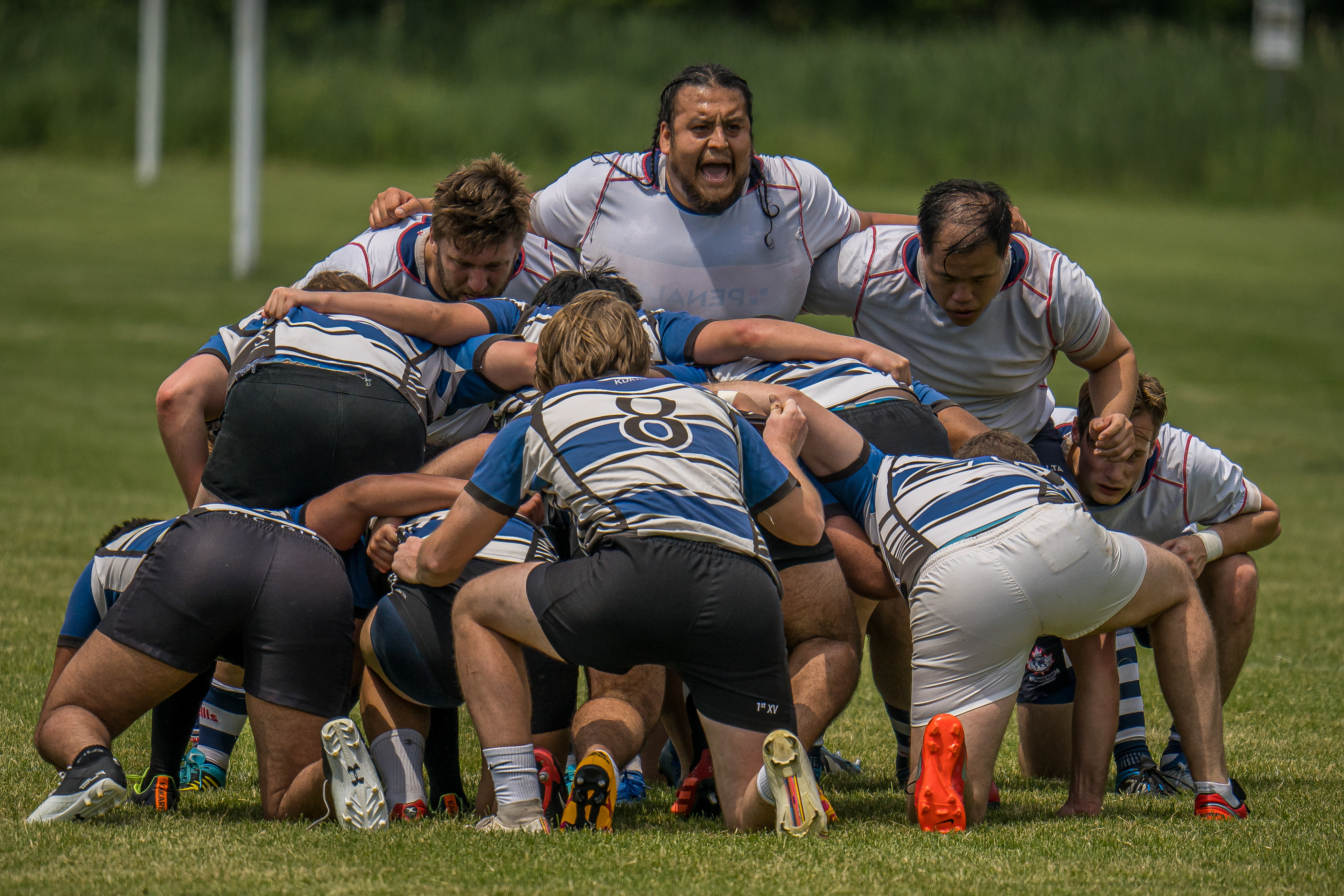 Toronto Nomads rugby club