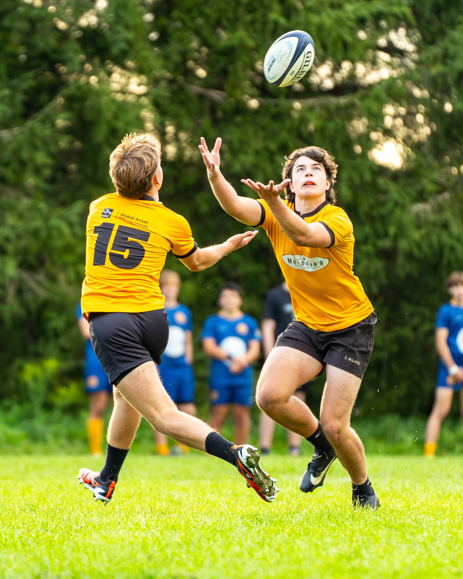 Oakville crusaders