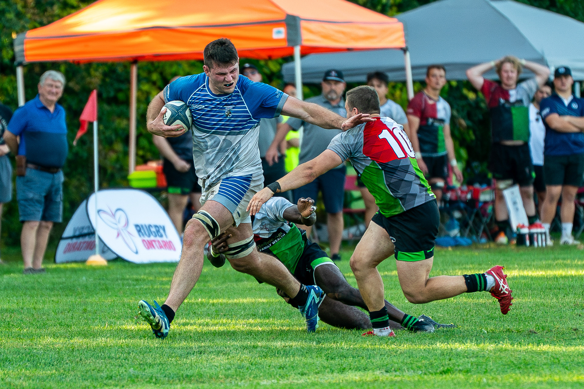 Waterloo county rugby club