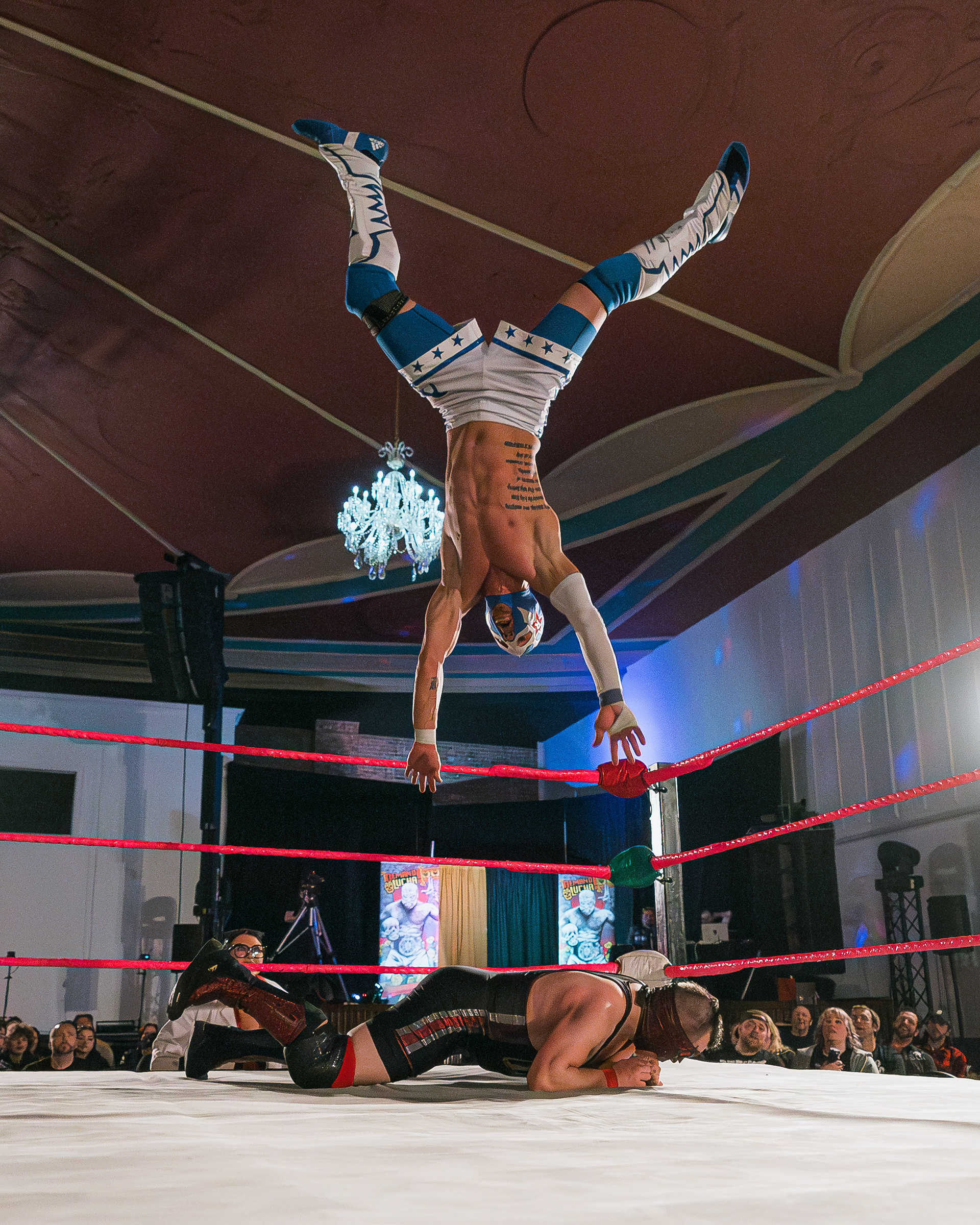 Wrestler Freddie