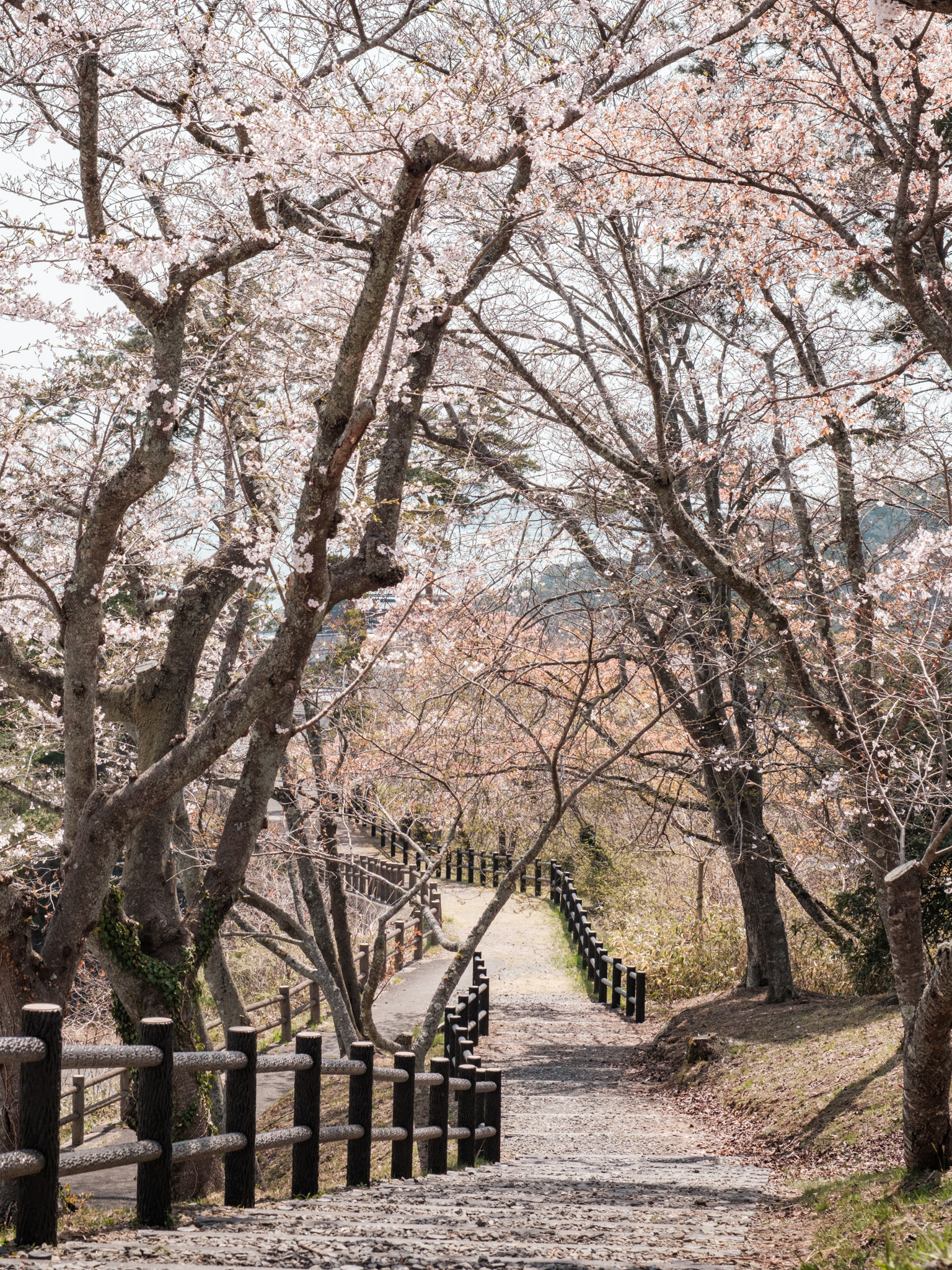 2024 Matsushima