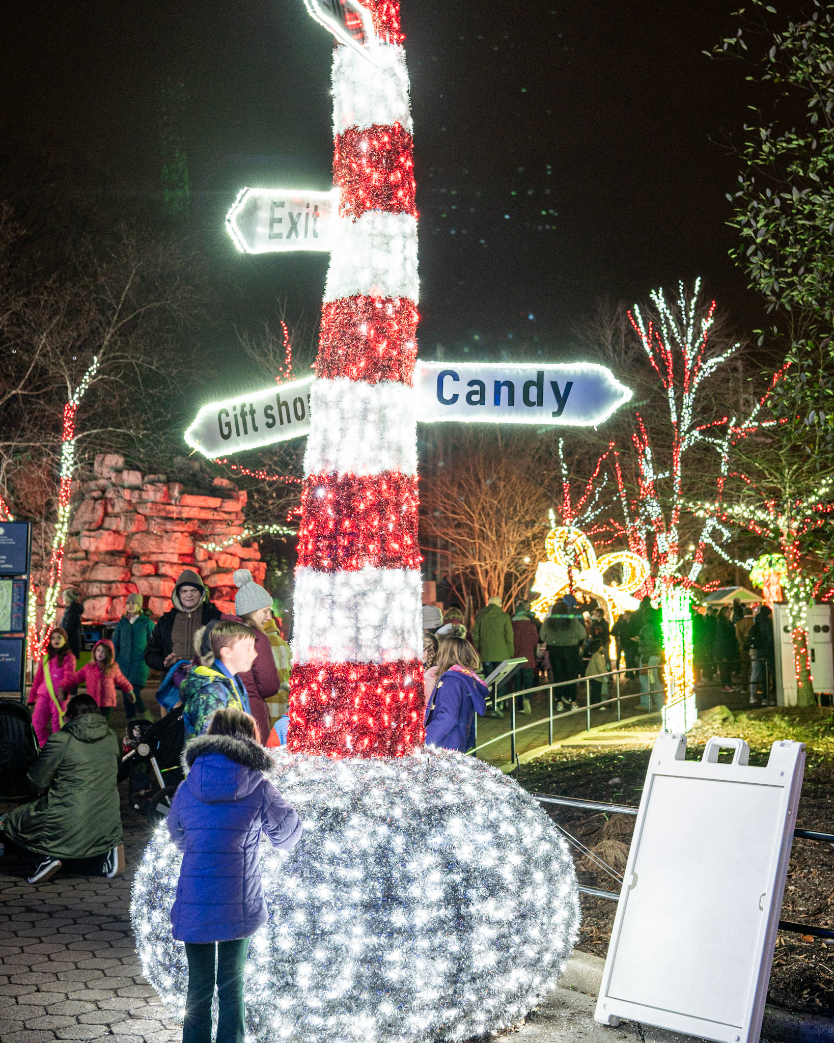 Zoo Lights