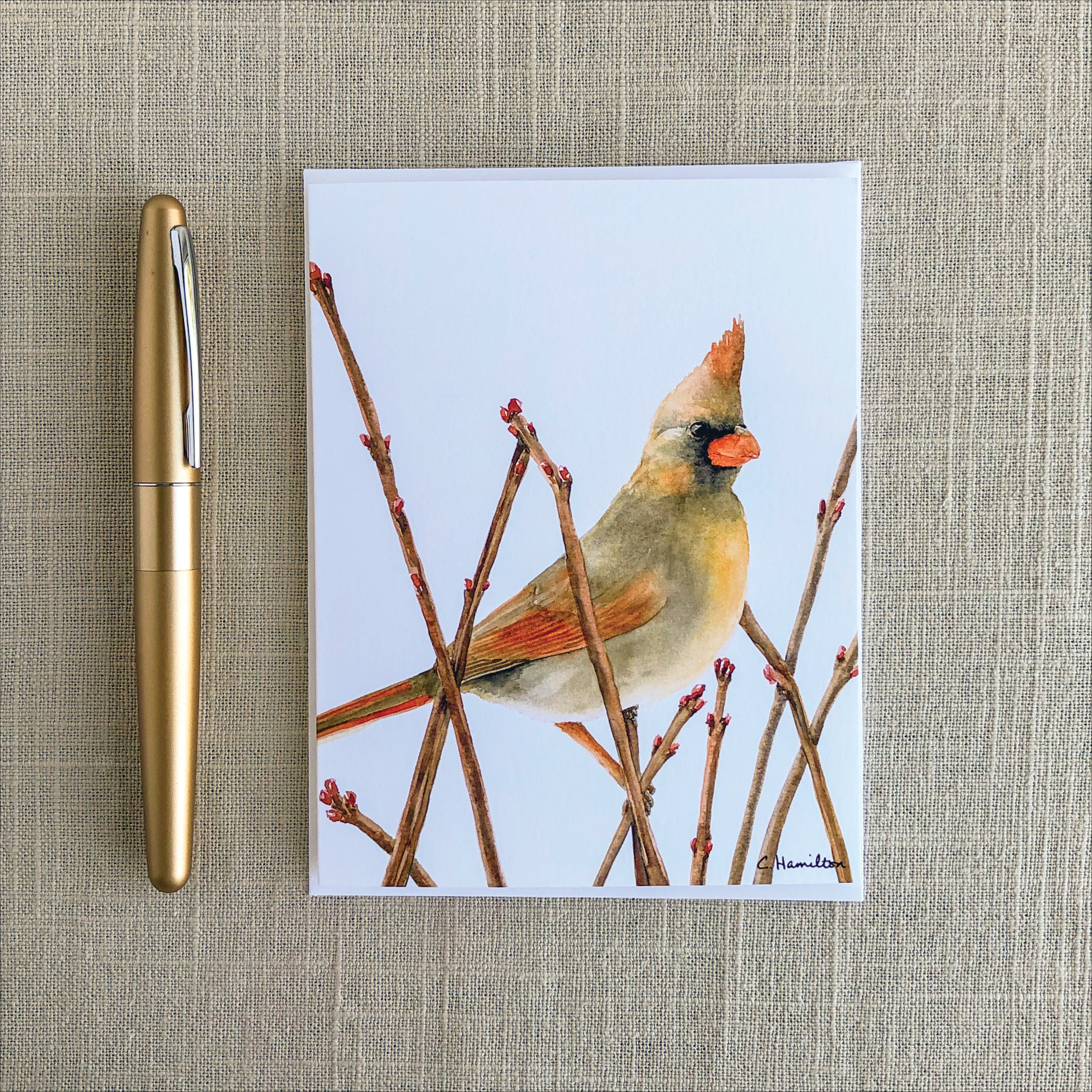 Red Female Cardinal