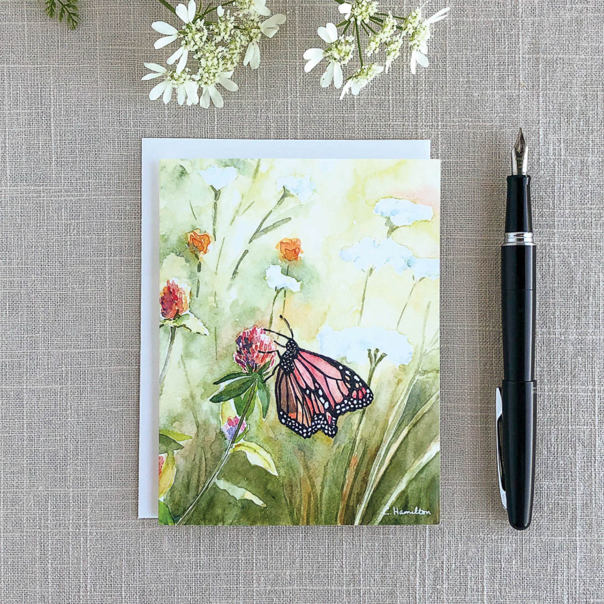 The Butterfly