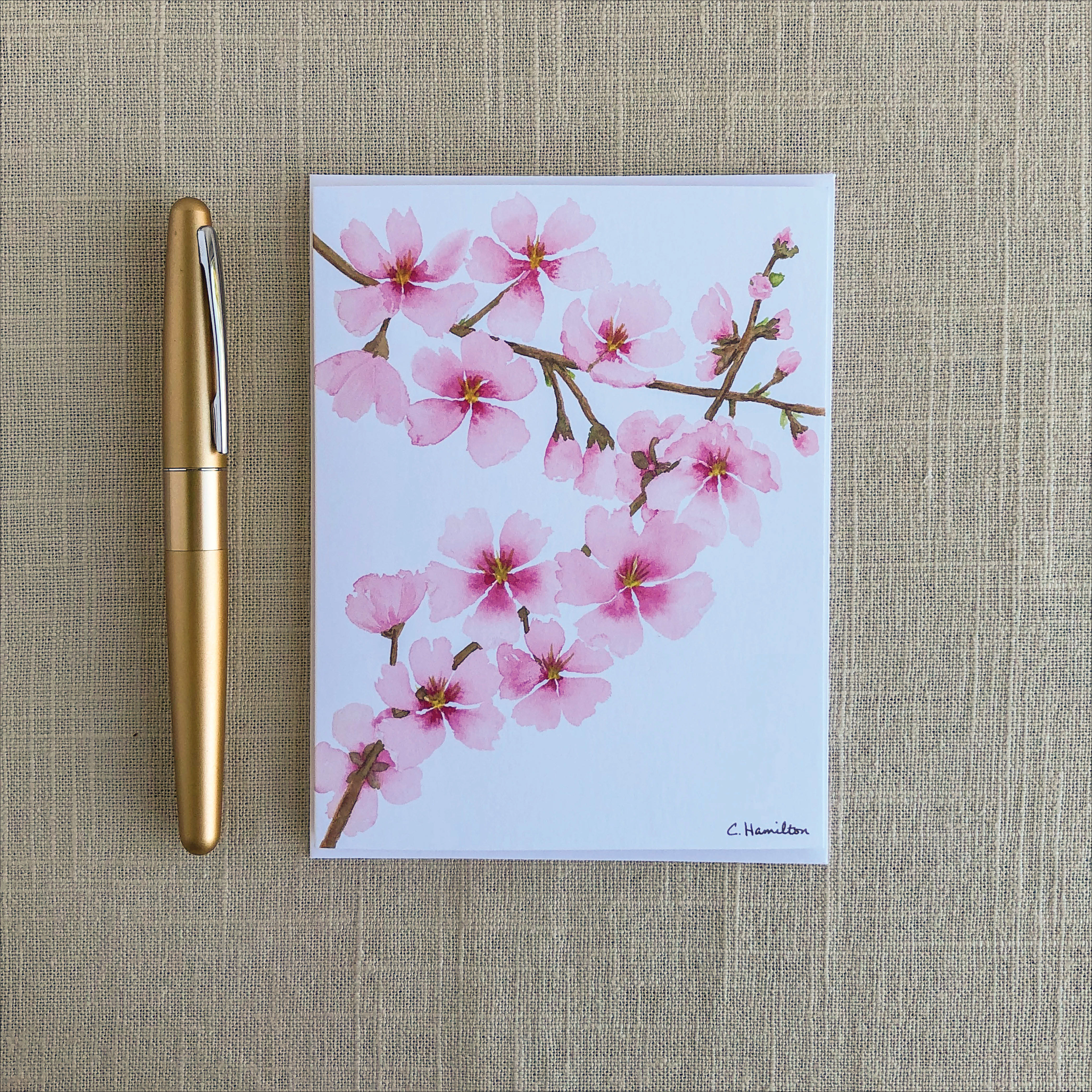 Cherry Blossoms