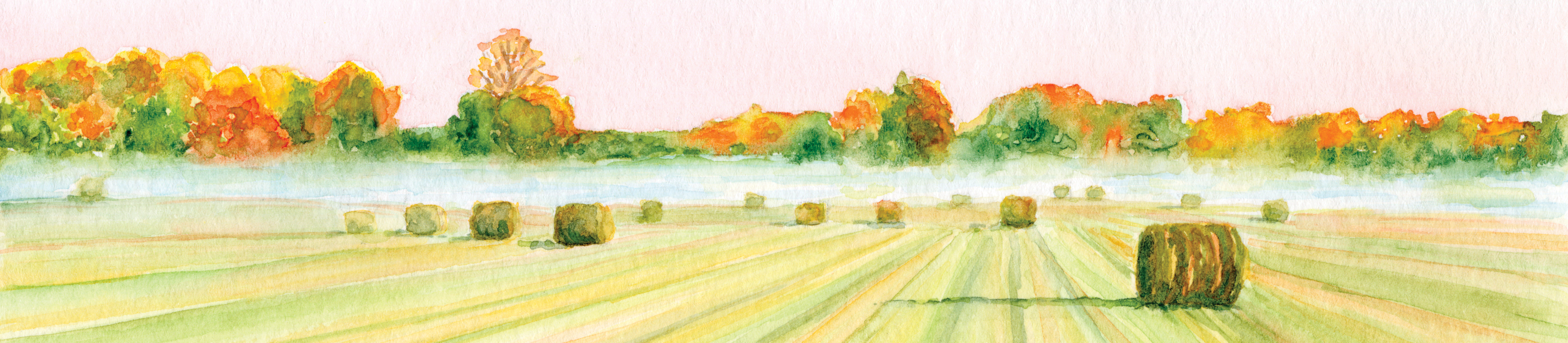 watercolor painting of a hay field with autumn trees in the background