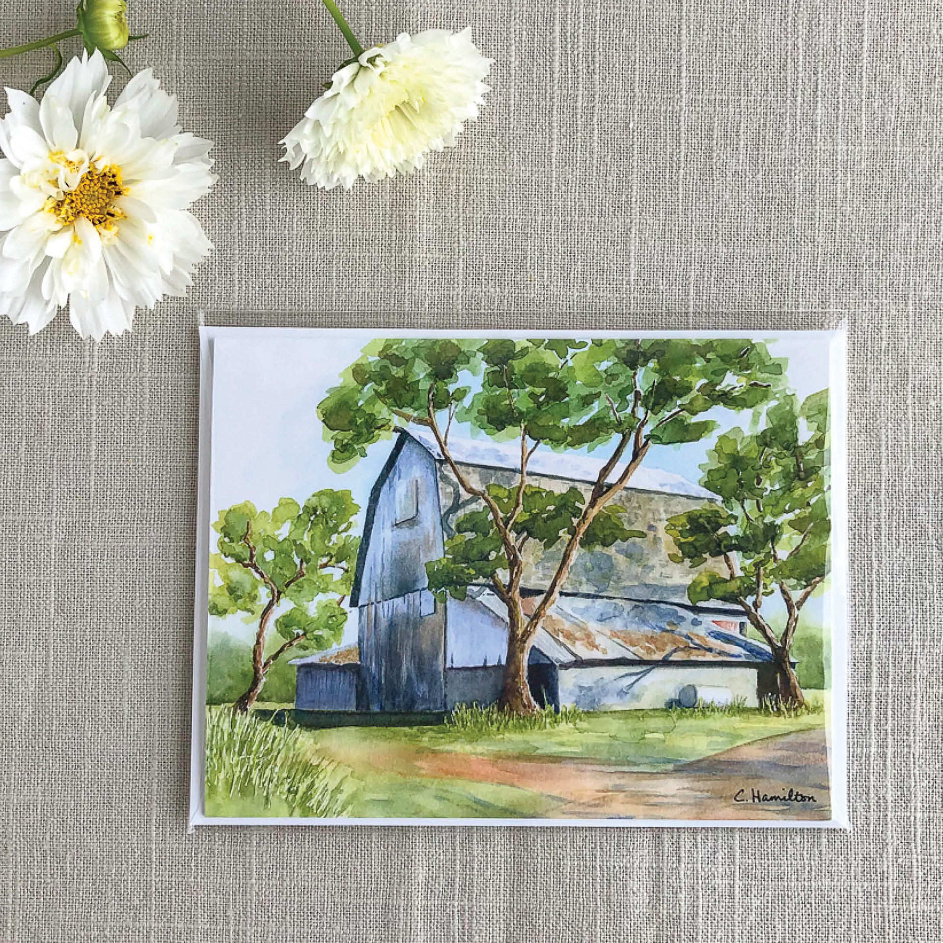 White Barn at the Farm