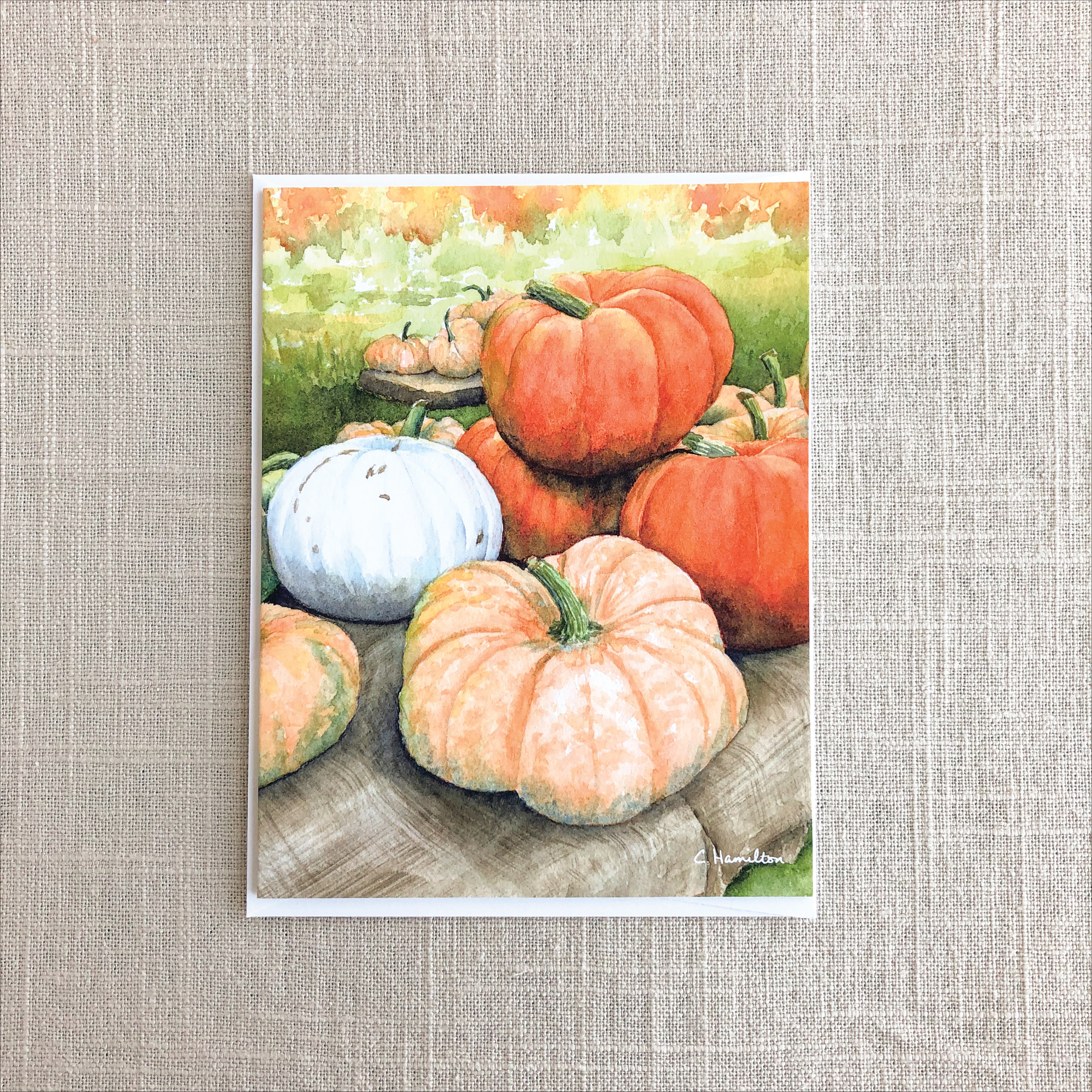 Pumpkin Harvest