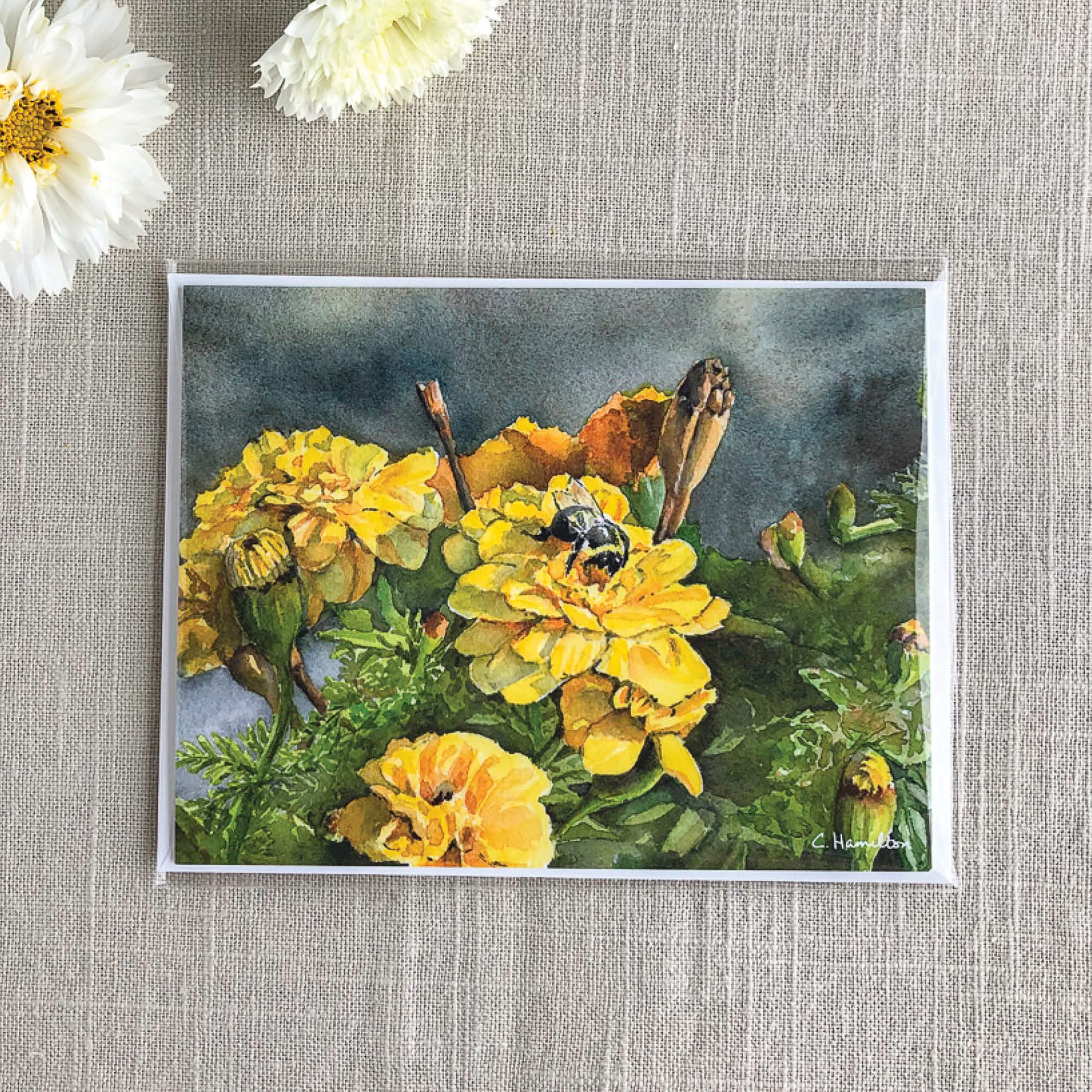 Garden Marigolds