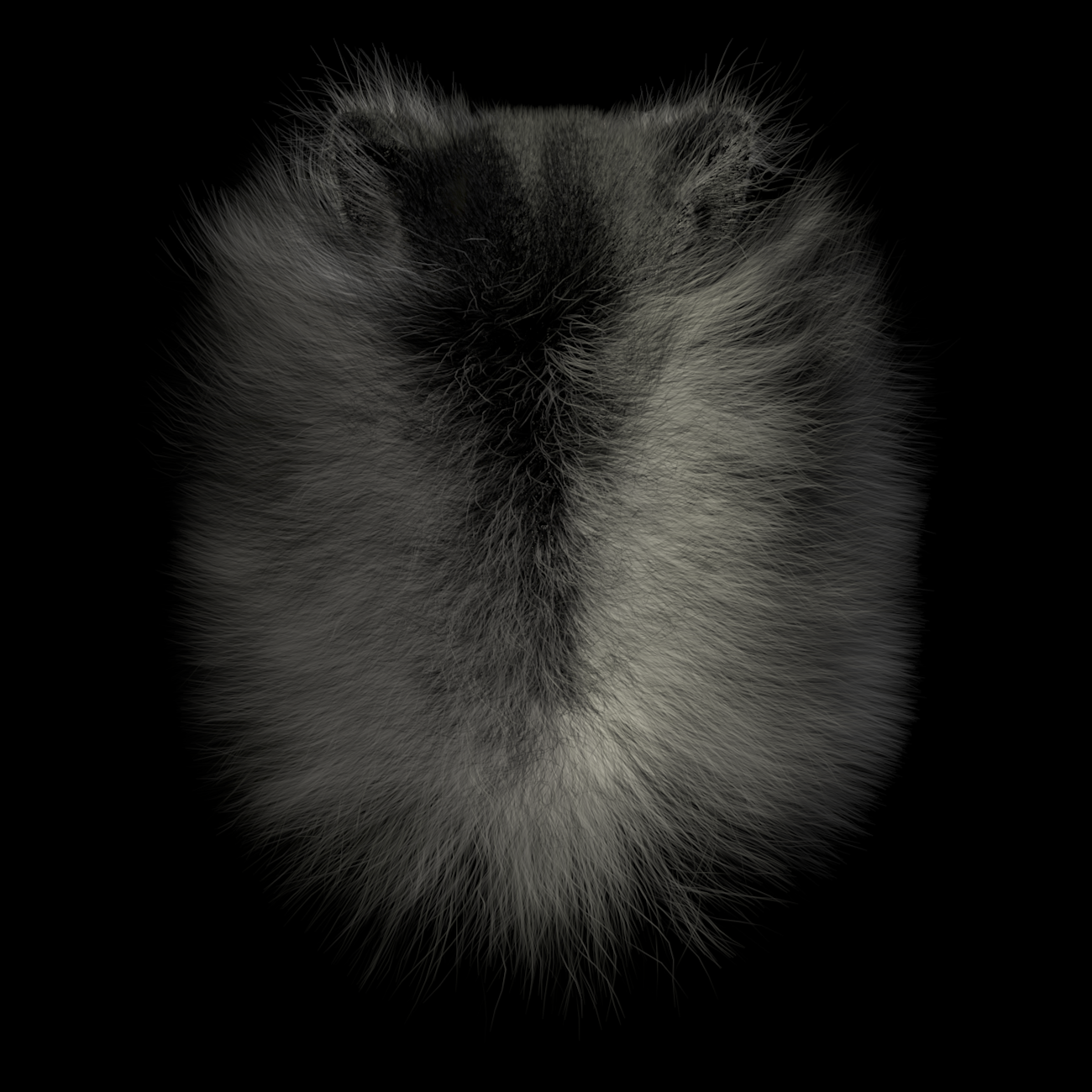  C4D, 3D modelling and development of fur and animals