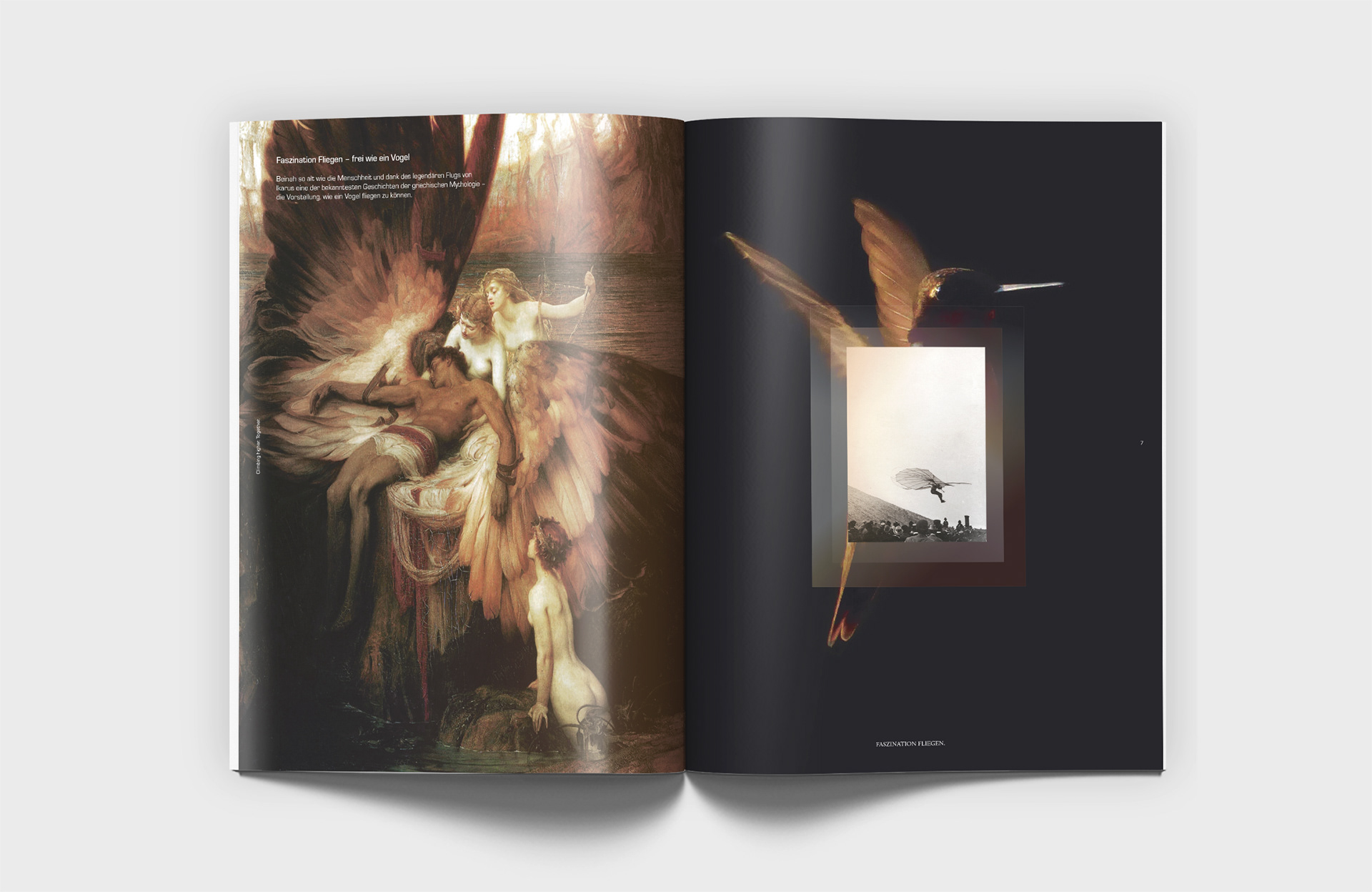 Stuttgart Creative Direction Grafiker Vera Uchytil Gestaltung Editorial Keyvisual zusammen we are one Kundenmagazin Diehl aviation DS icarus Faszination fliegen - frei wie ein Vogel