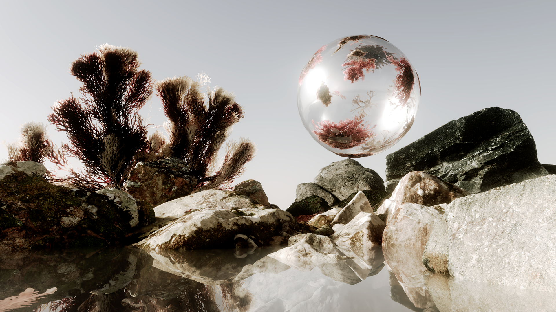 VeraUchytil_CreativeArtDirection_3DMotionDesign