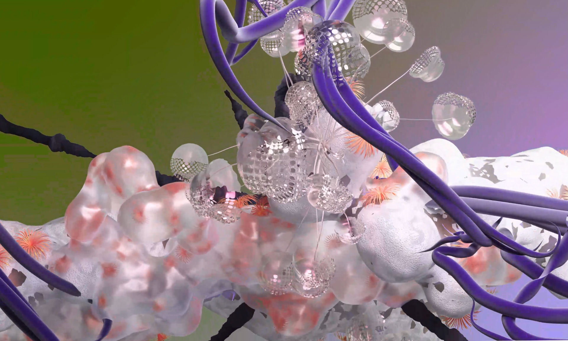 Detailed views and further development of the metaverse fauna and plants to the billboard. @vera uchytil