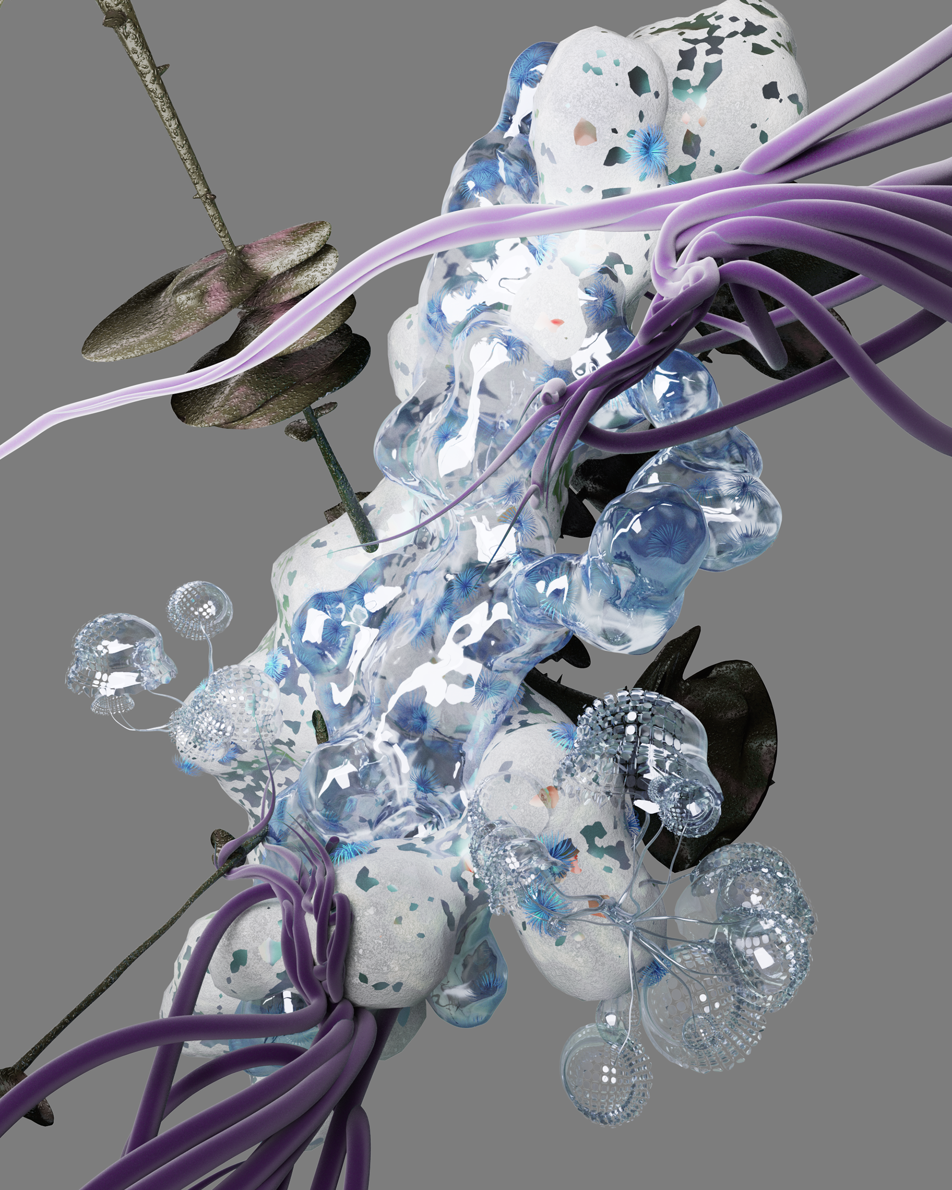 Detailed views and further development of the metaverse fauna and plants to the billboard. @vera uchytil