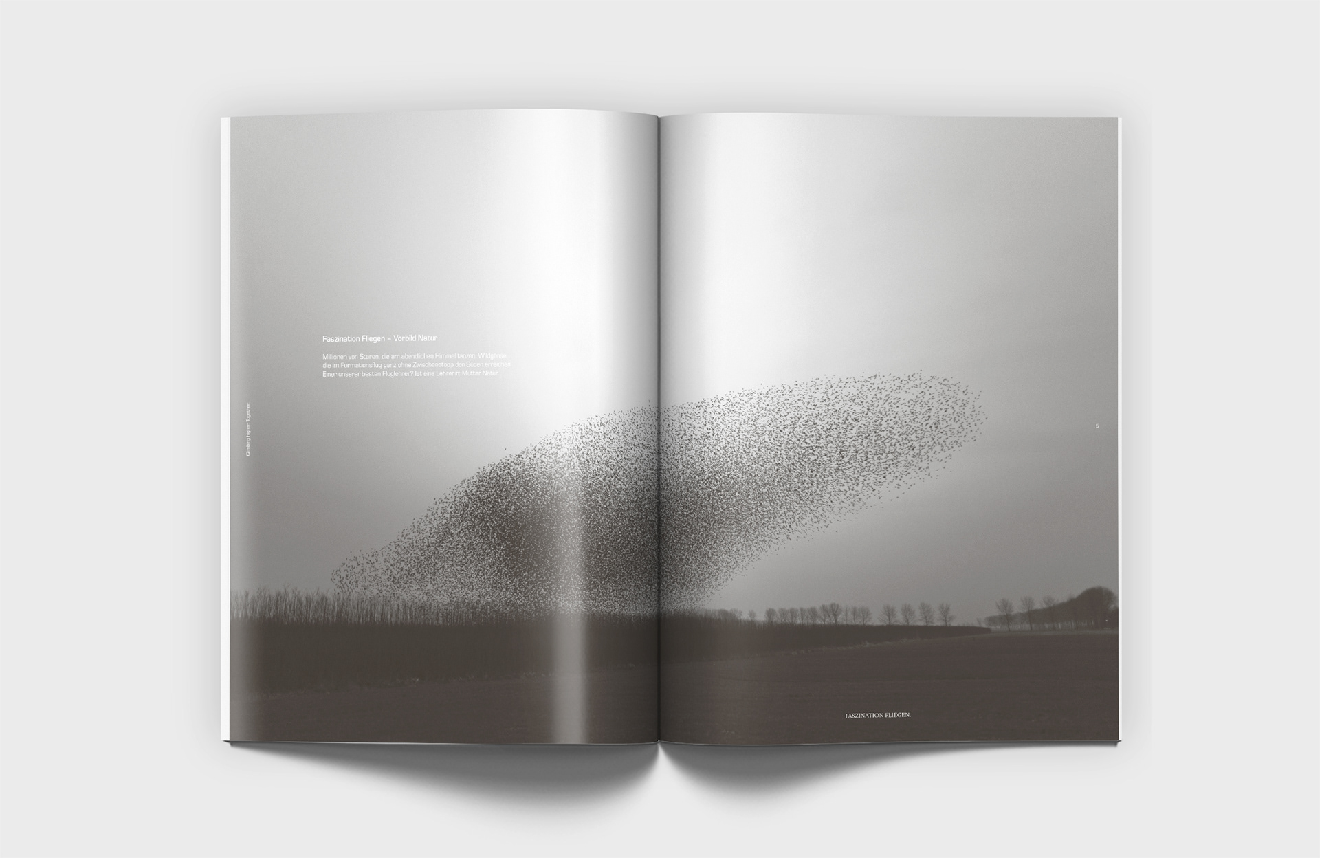Stuttgart Creative Direction Grafiker Vera Uchytil Gestaltung Editorial Keyvisual zusammen we are one Kundenmagazin Diehl Vogelschwarm aviation