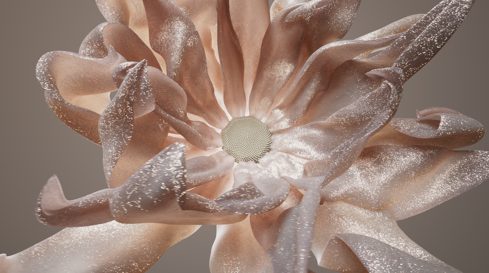 VeraUchytil_CreativeArtDirection_3DMotionDesign