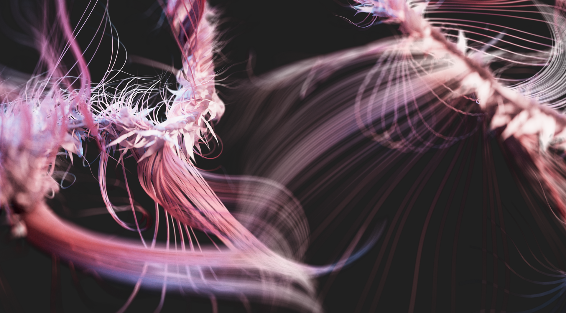 VeraUchytil_CreativeArtDirection_3DMotionDesign