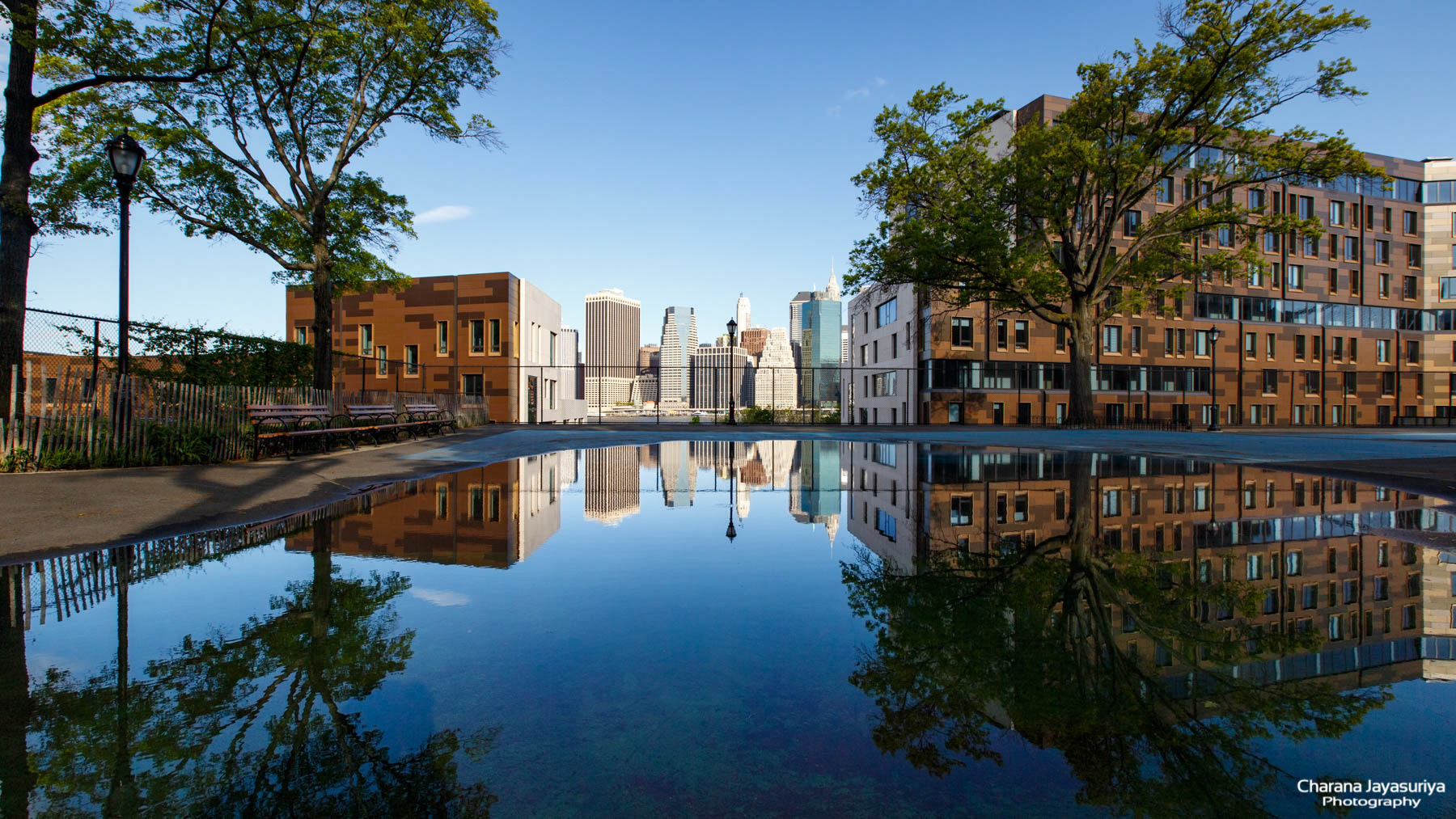 Reflections