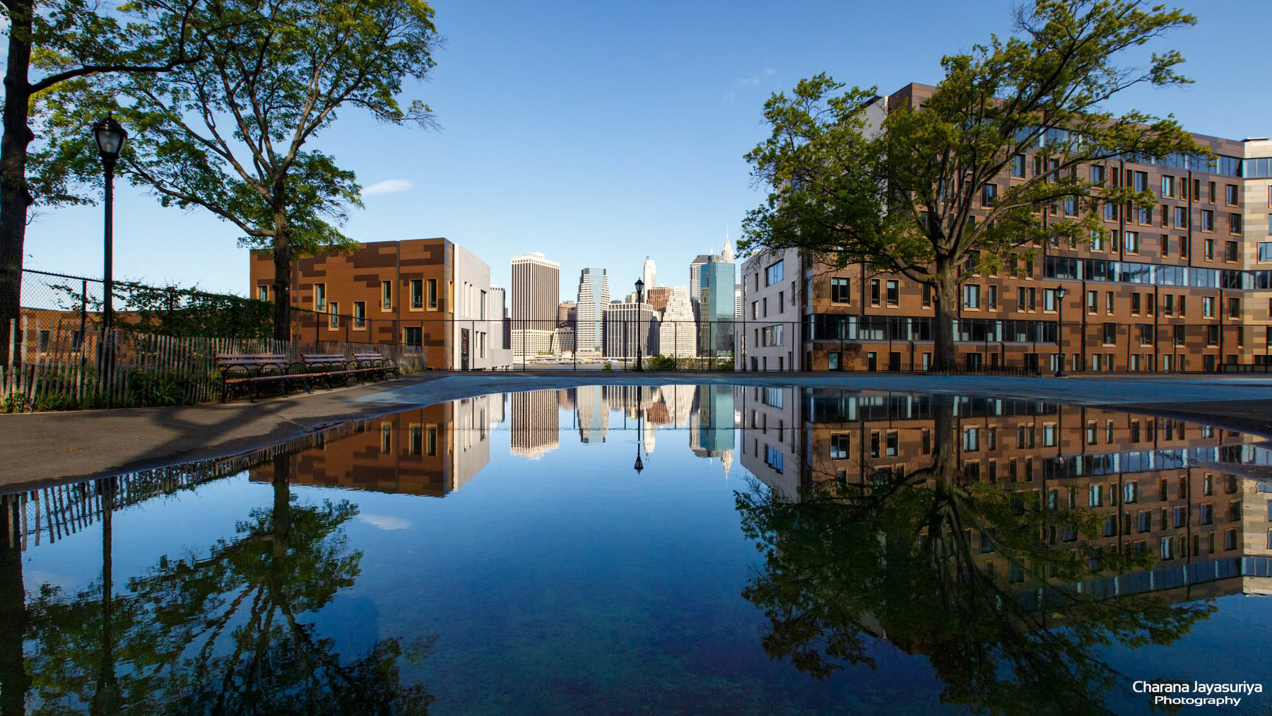 Reflections