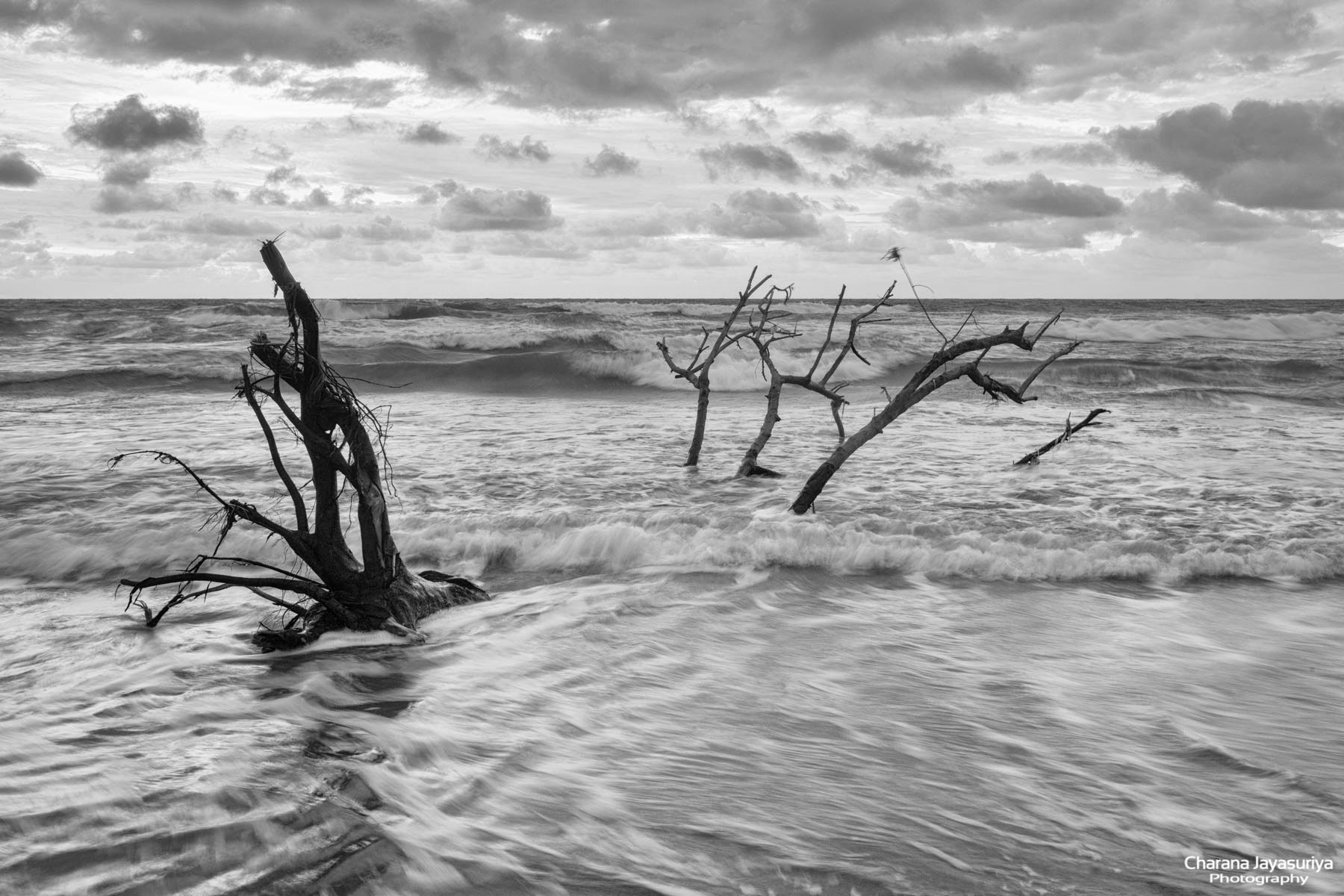 The Moody Ocean