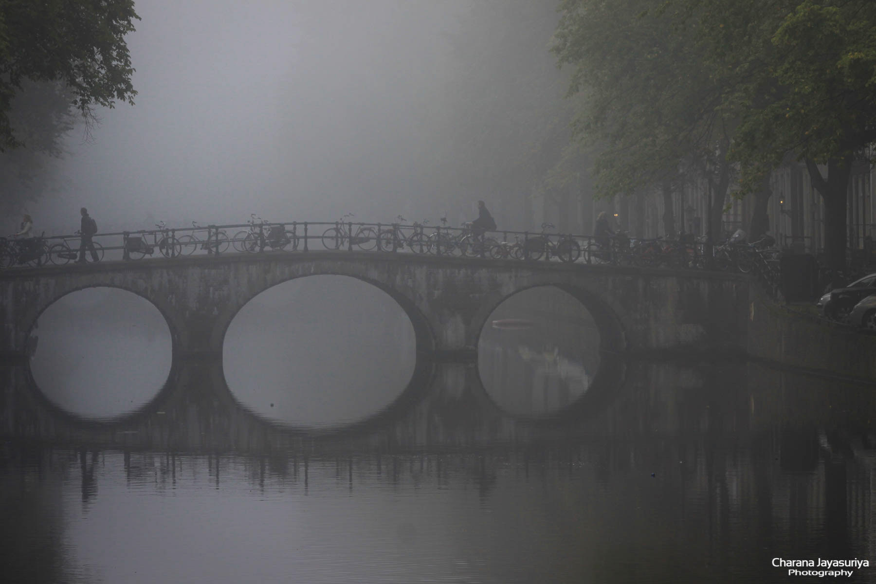 Misty Canals