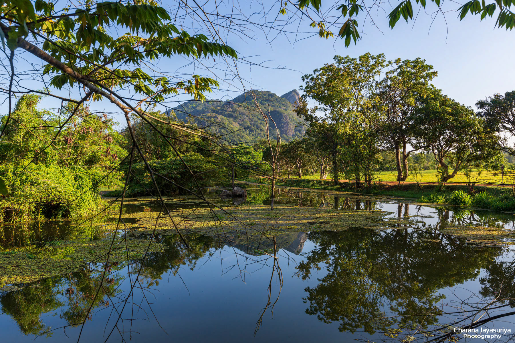 Kalundewa