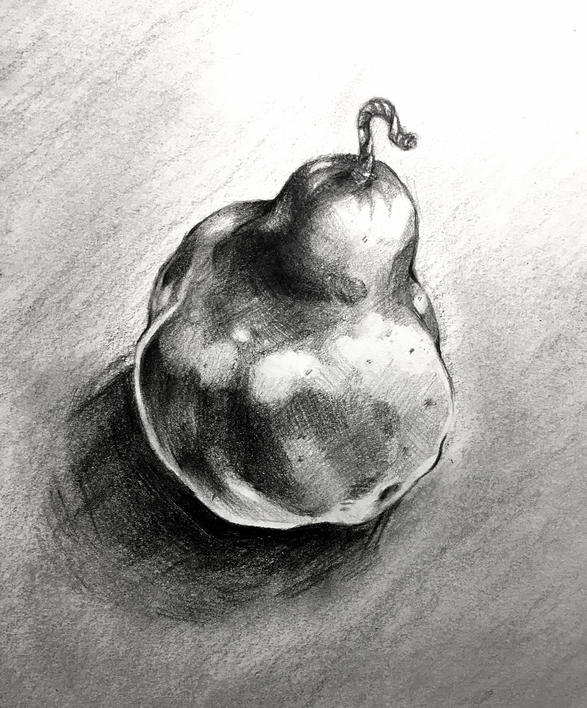 Various still life studies, 2019.