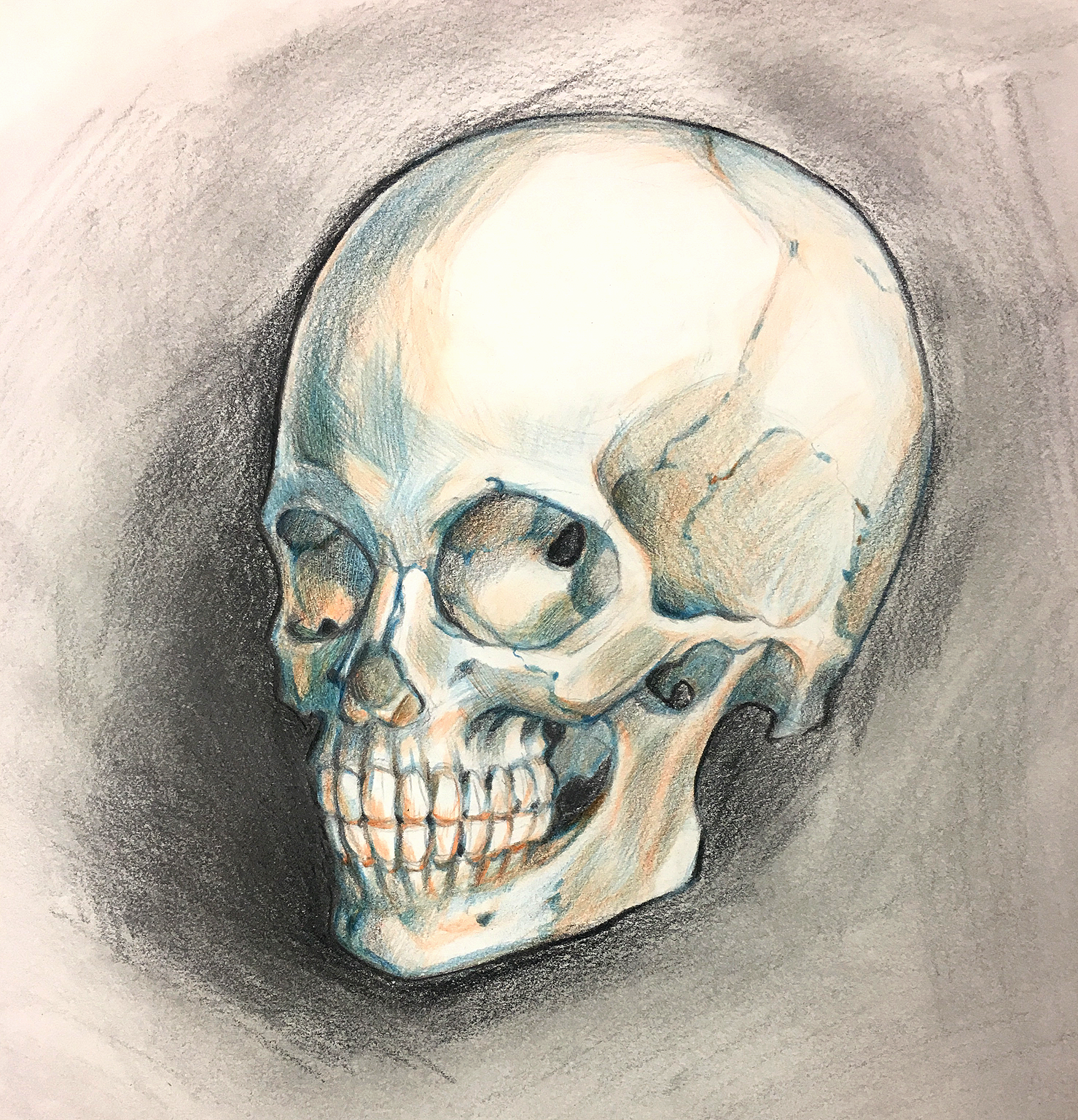 Various still life studies, 2019.