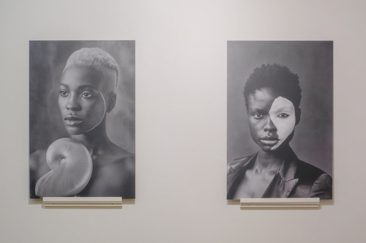 Delphine Diallo - Celestial Crown, Genese