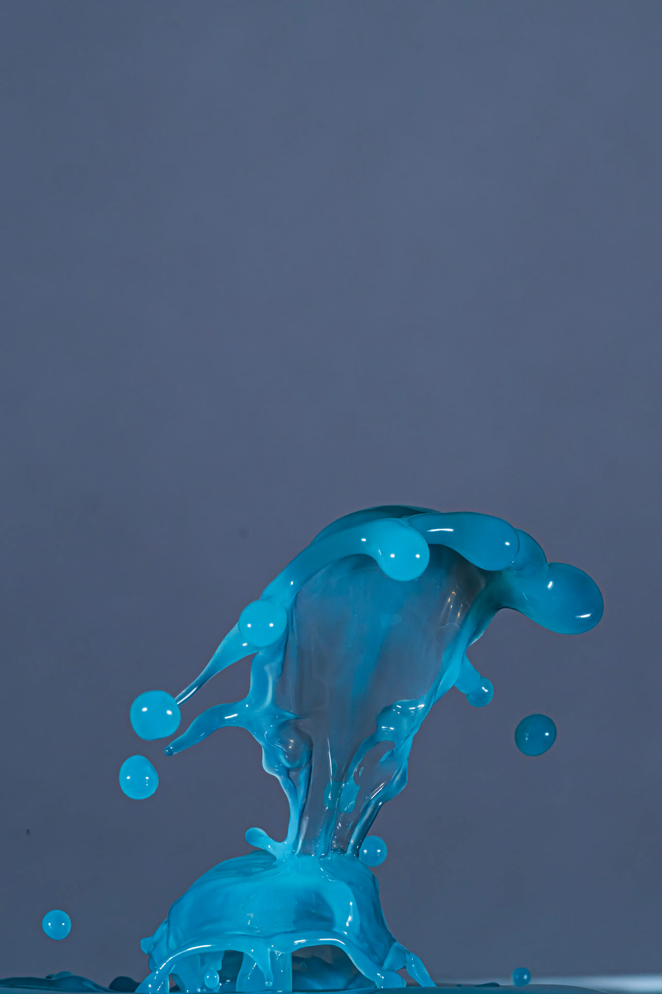 2024-01-69