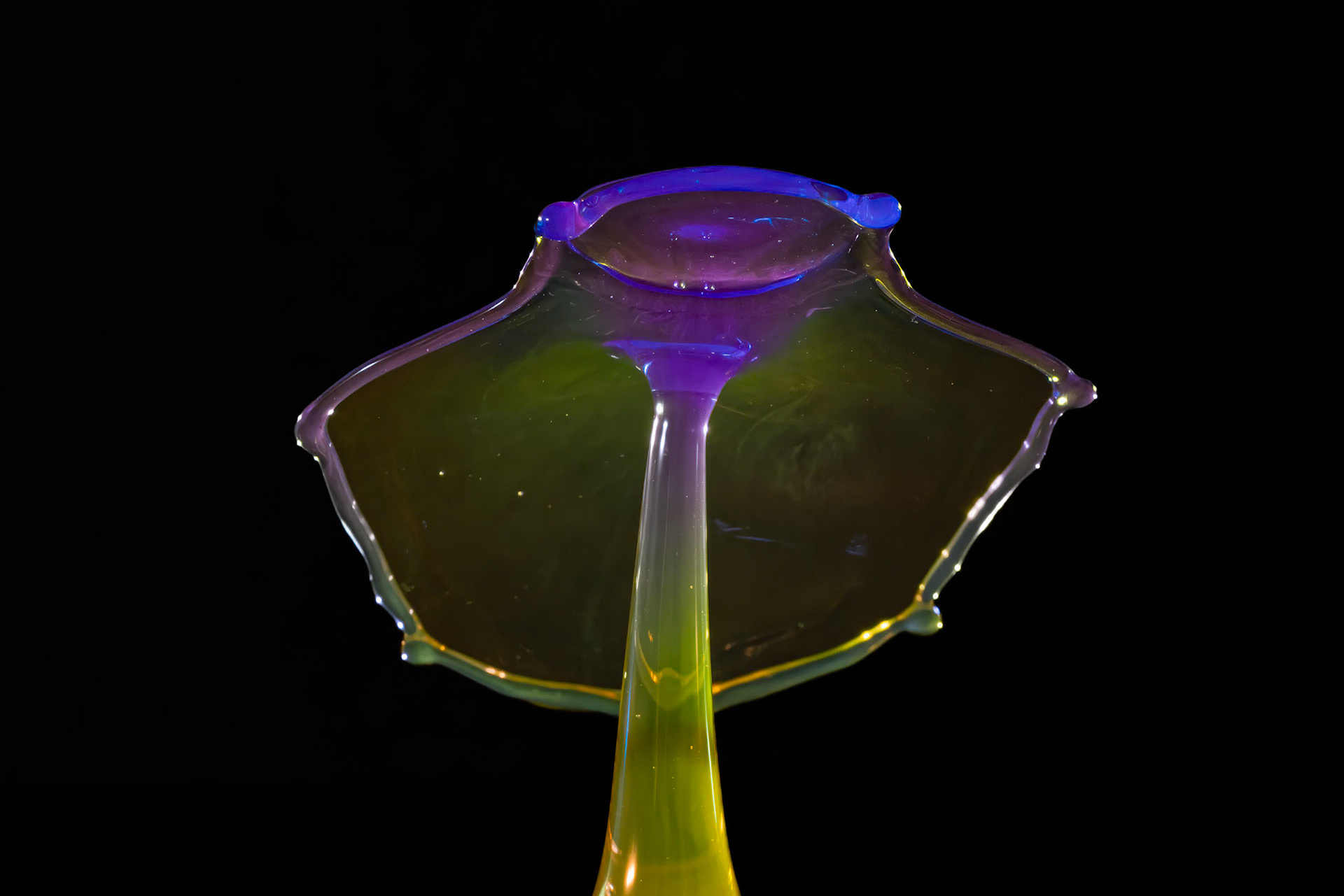2024-02-11