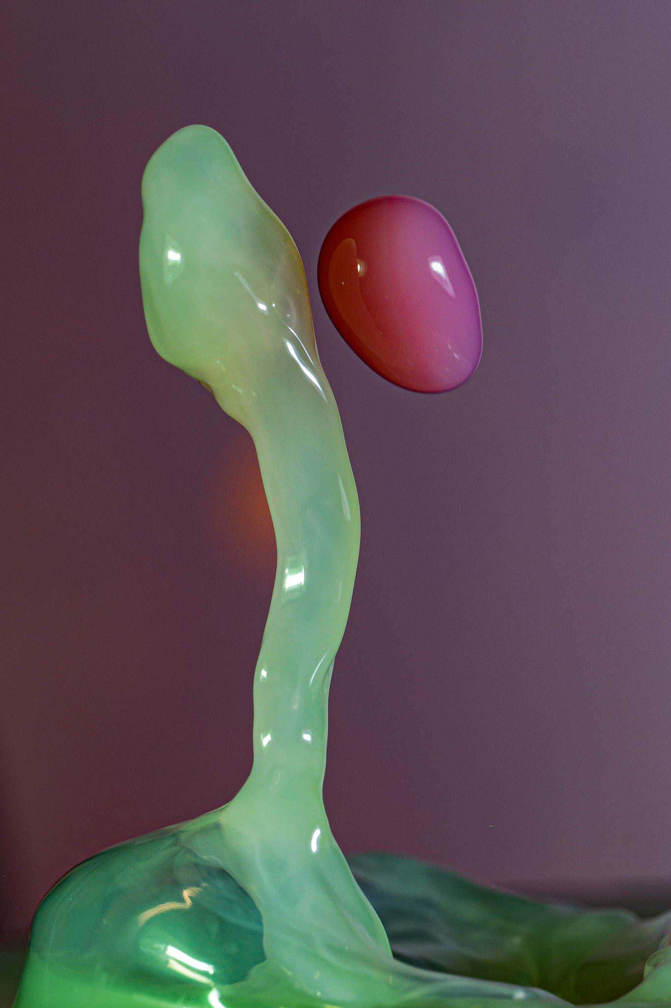 2024-01-29