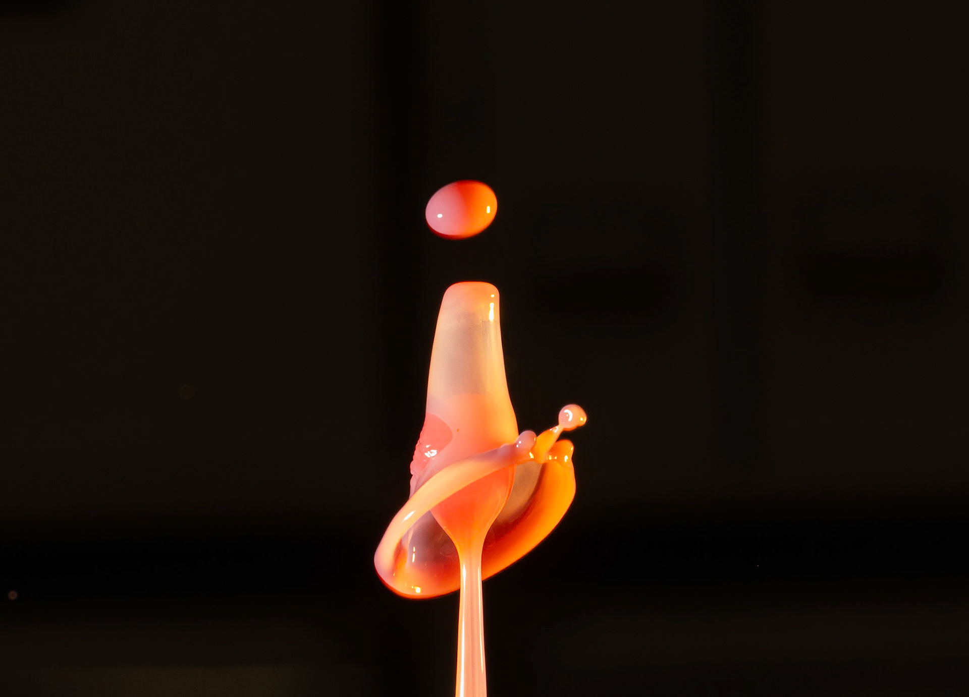 2024-02-61