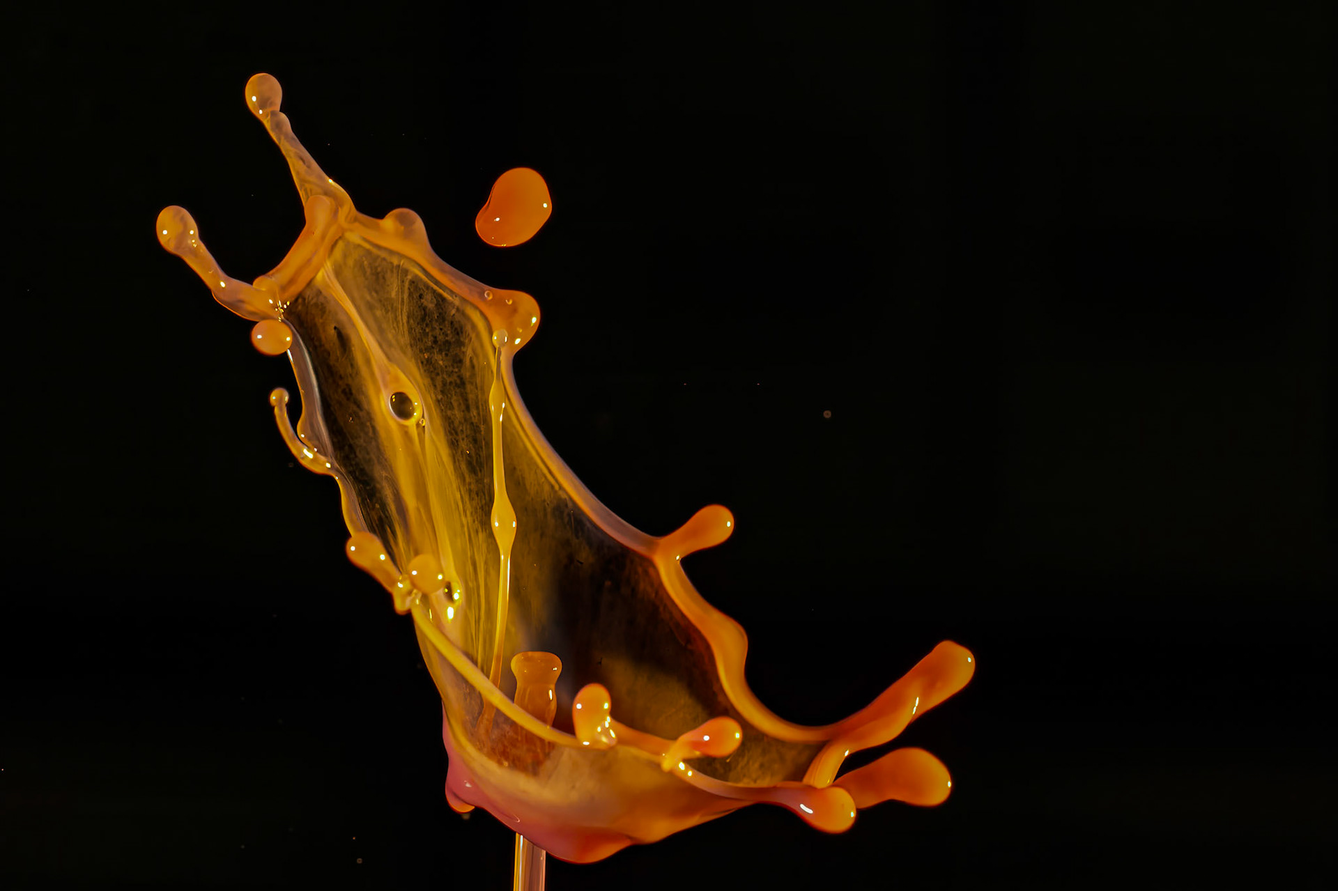 2024-02-59