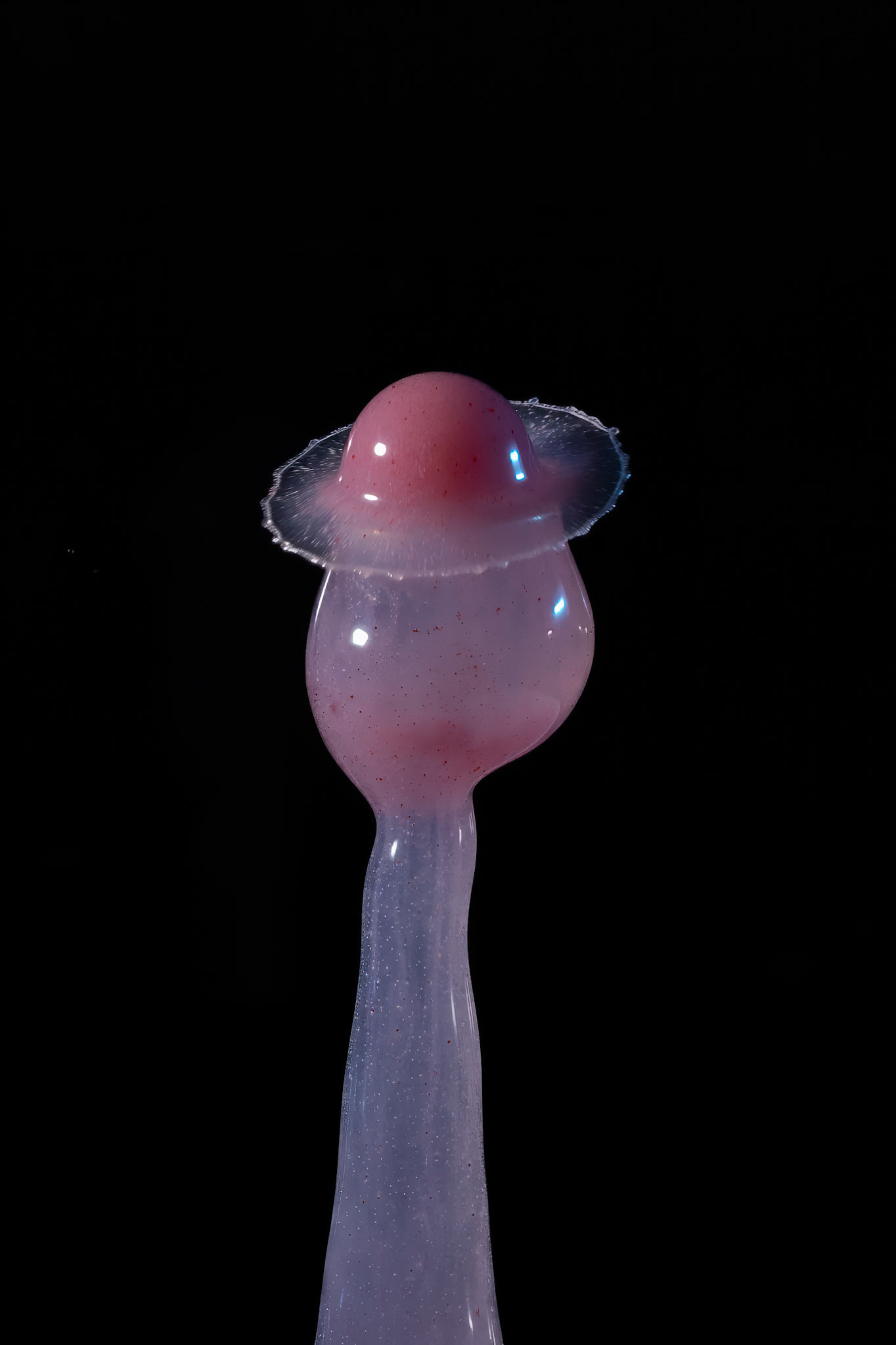 2024-02-66