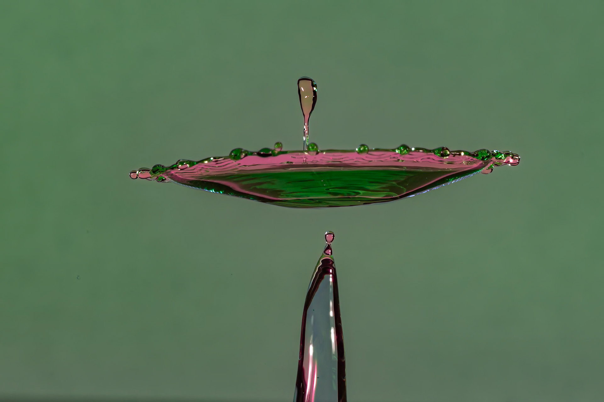 2024-01-45
