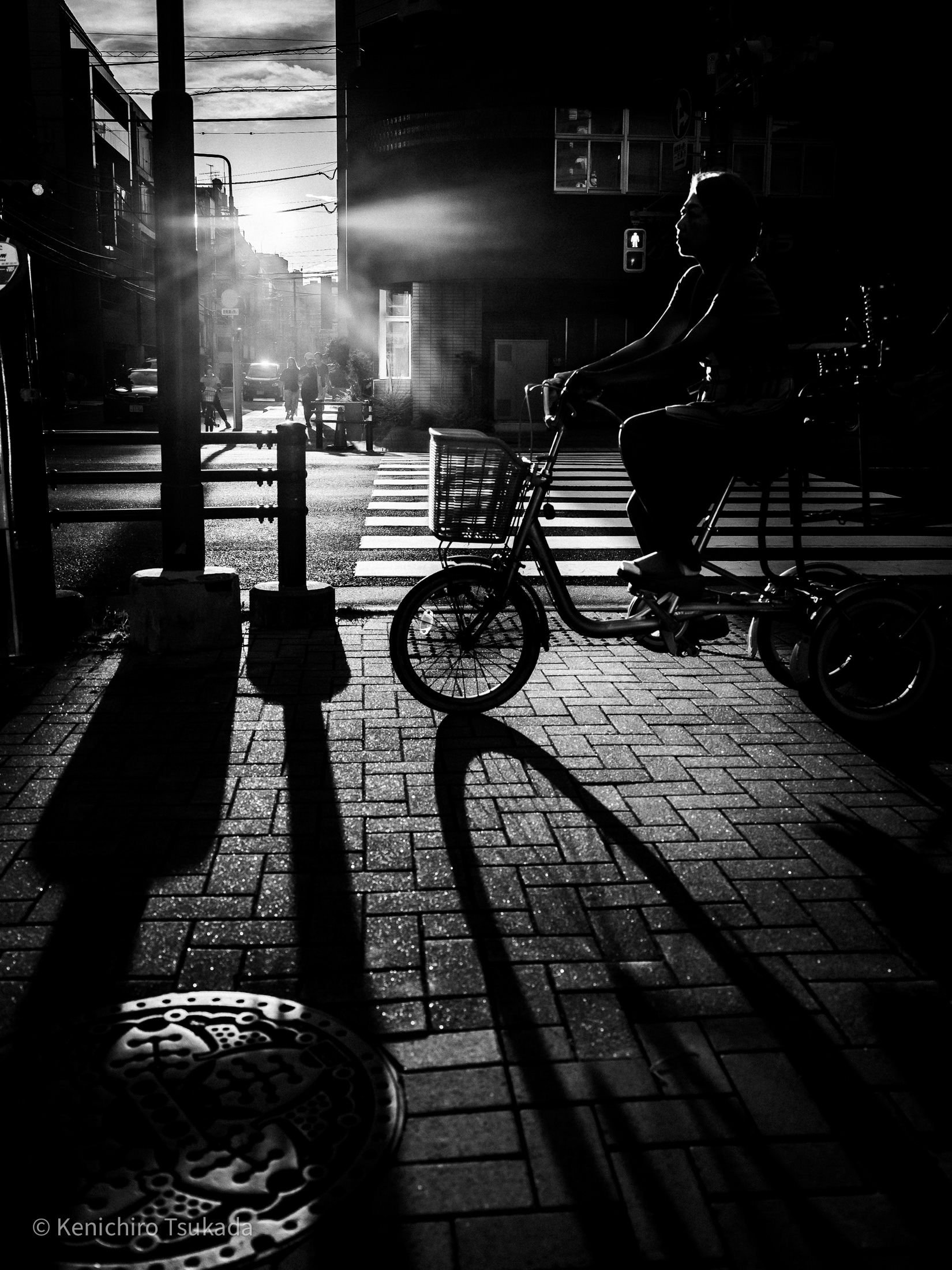 MUSE PHOTOGRAPHY AWARD 2025 SILVER WINNER | TIFA2024 Honorable Mention