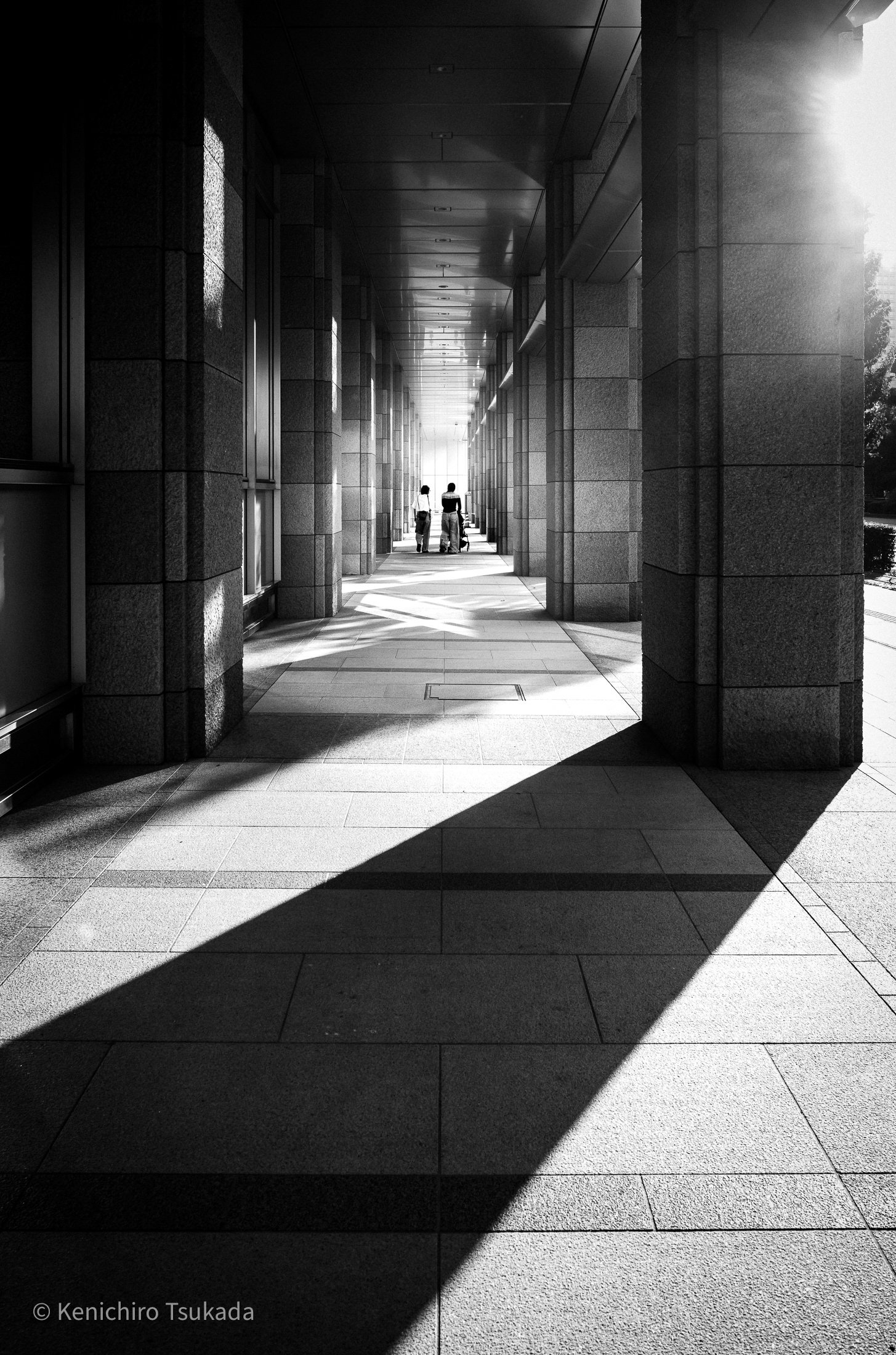 MUSE PHOTOGRAPHY AWARD 2025 GOLD WINNER
