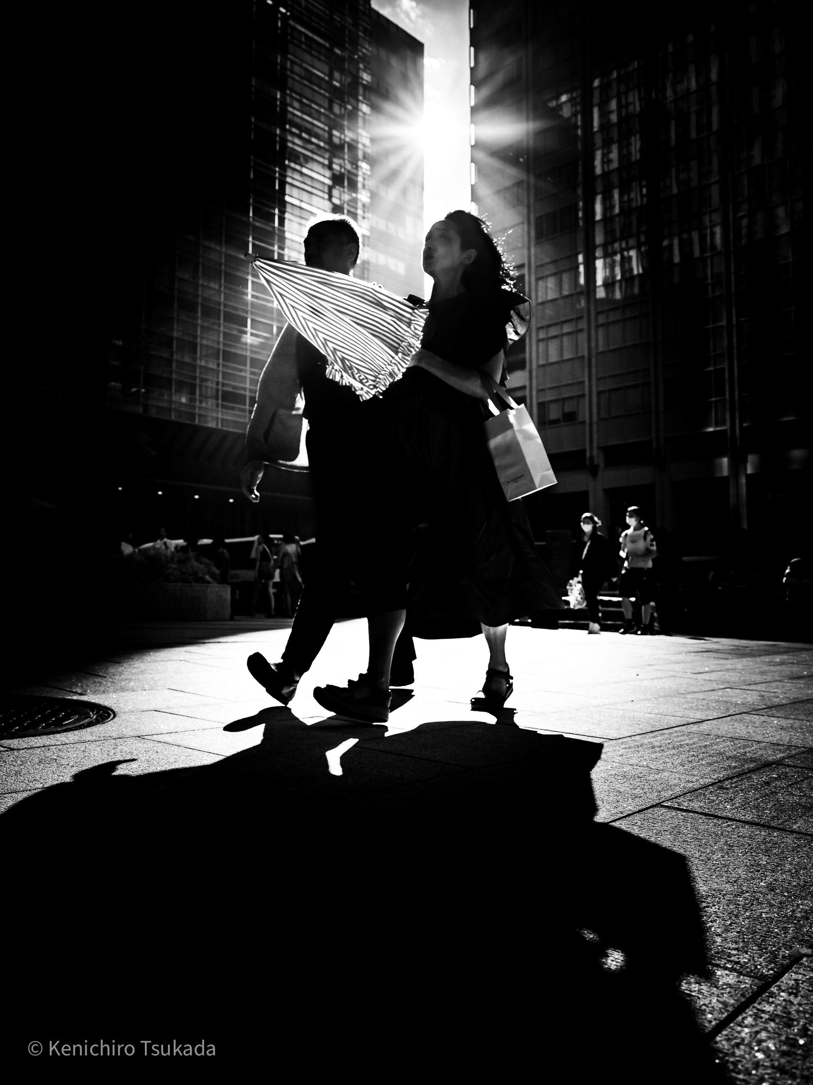 TIFA2024 Honorable Mention | MUSE PHOTOGRAPHY AWARD 2025 SILVER WINNER
