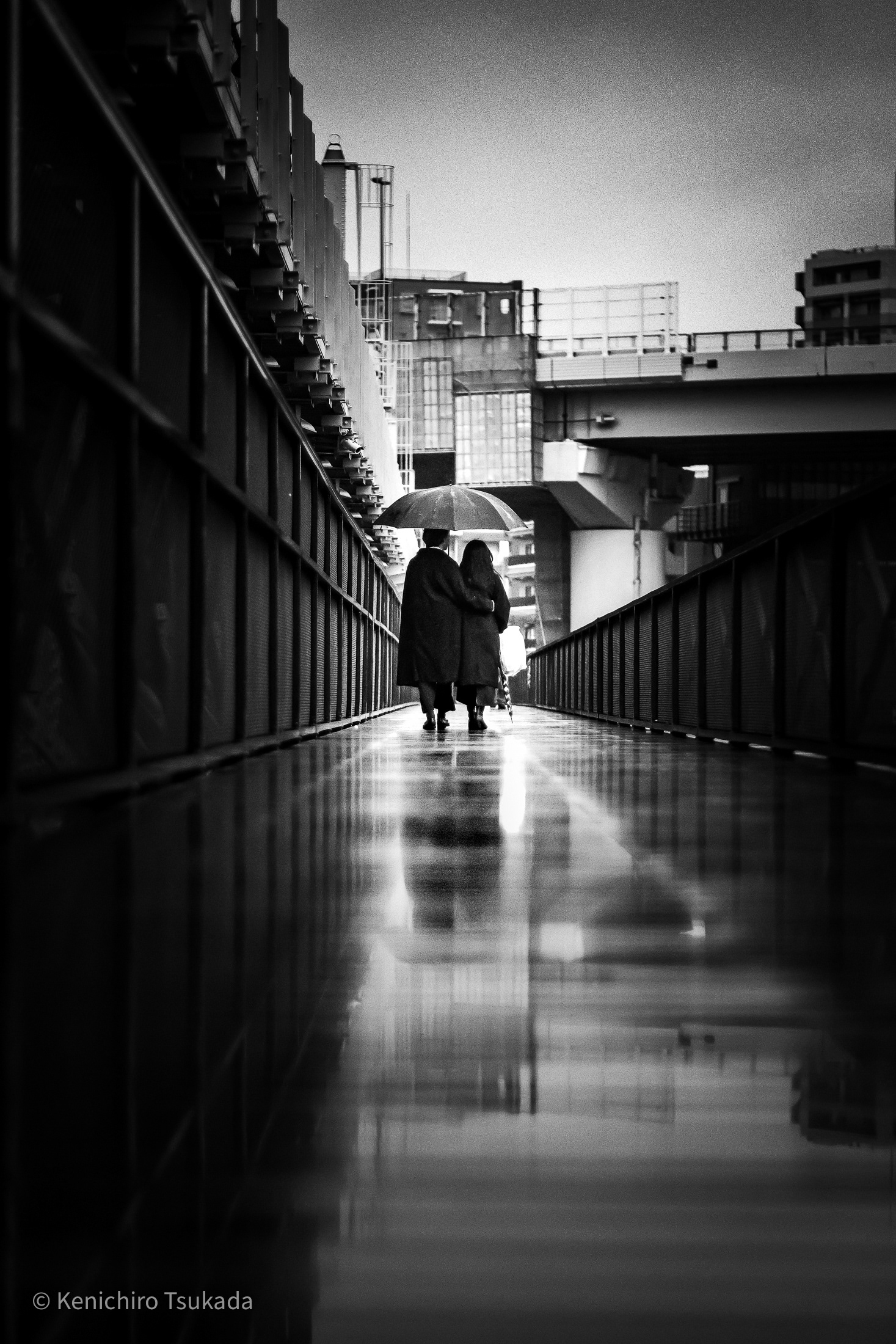 MUSE PHOTOGRAPHY AWARD 2025 GOLD WINNER