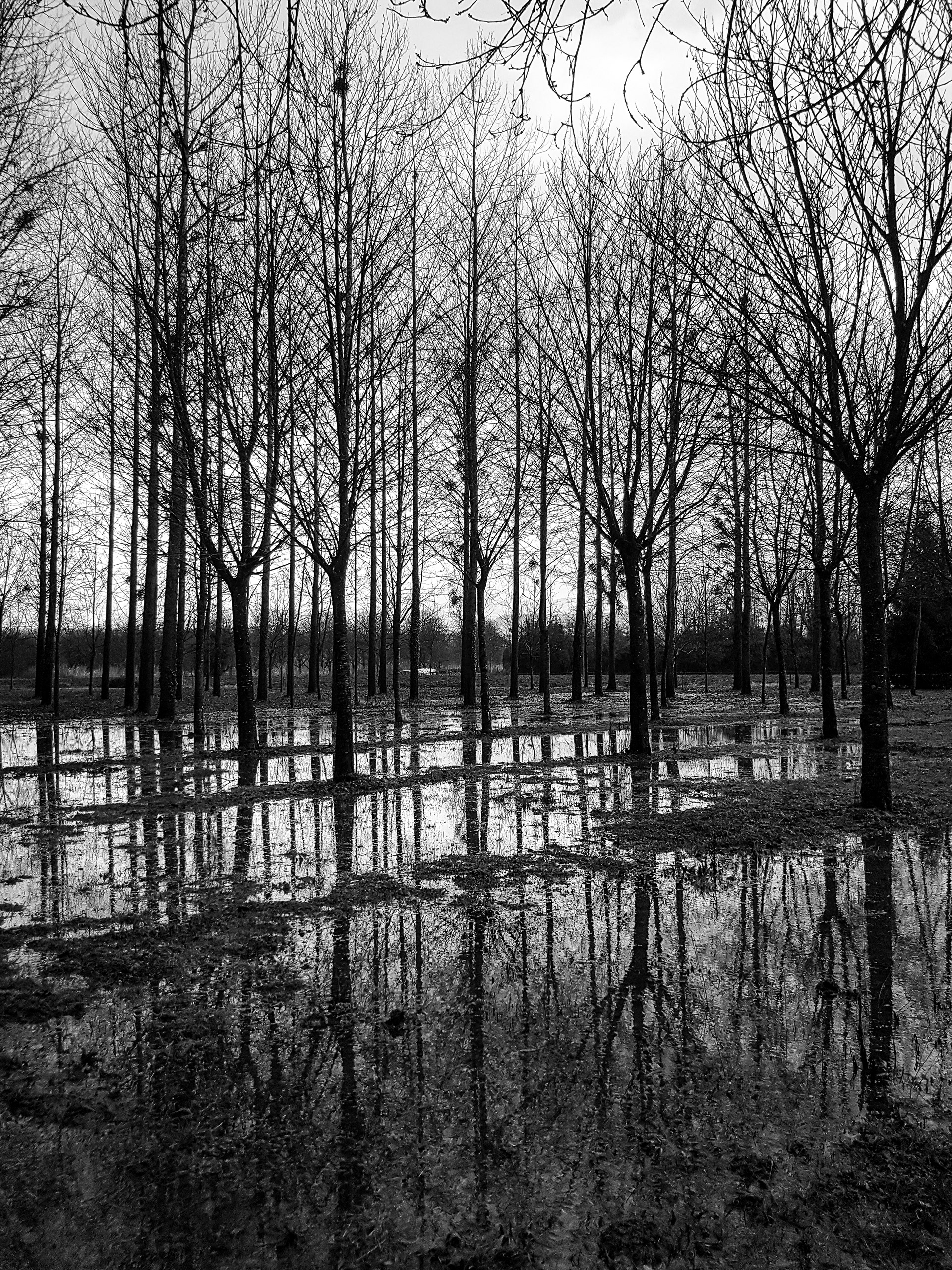 La Rivière, France, février 2018